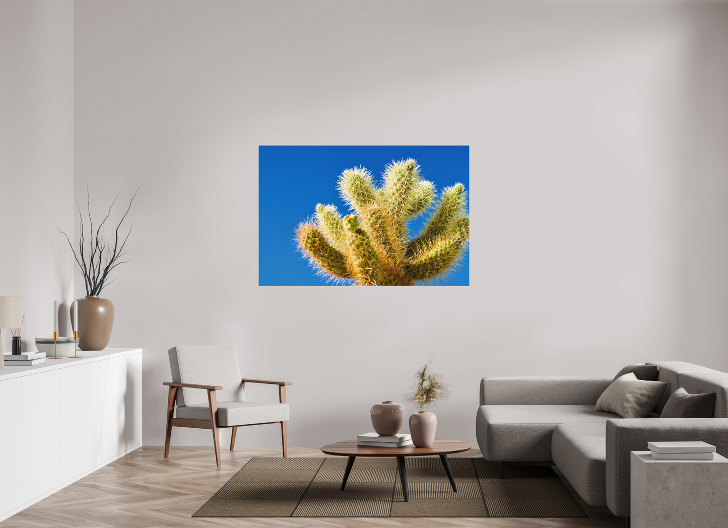 Cactus and Sky