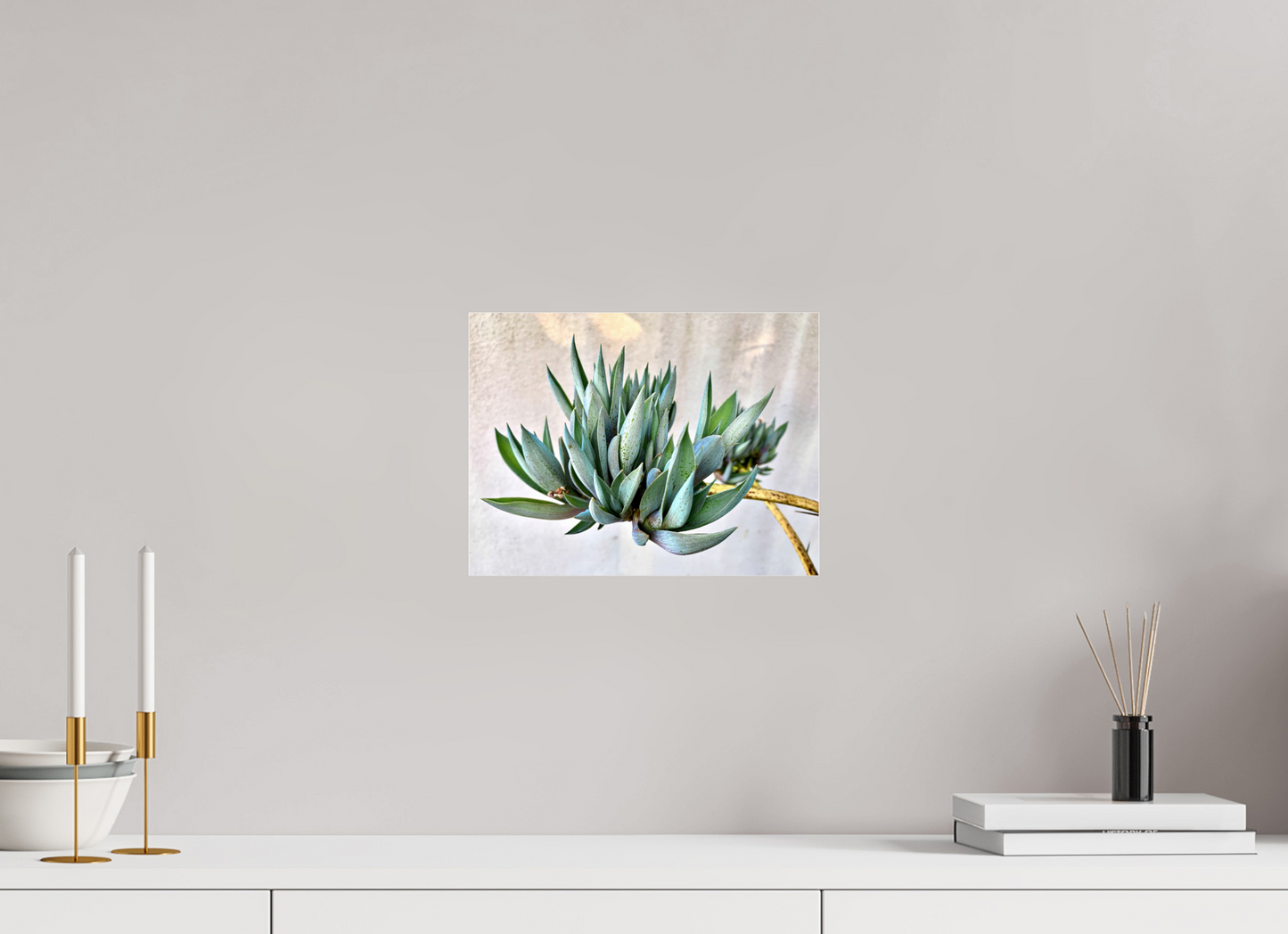 Desert Cactus Blossom on Stem