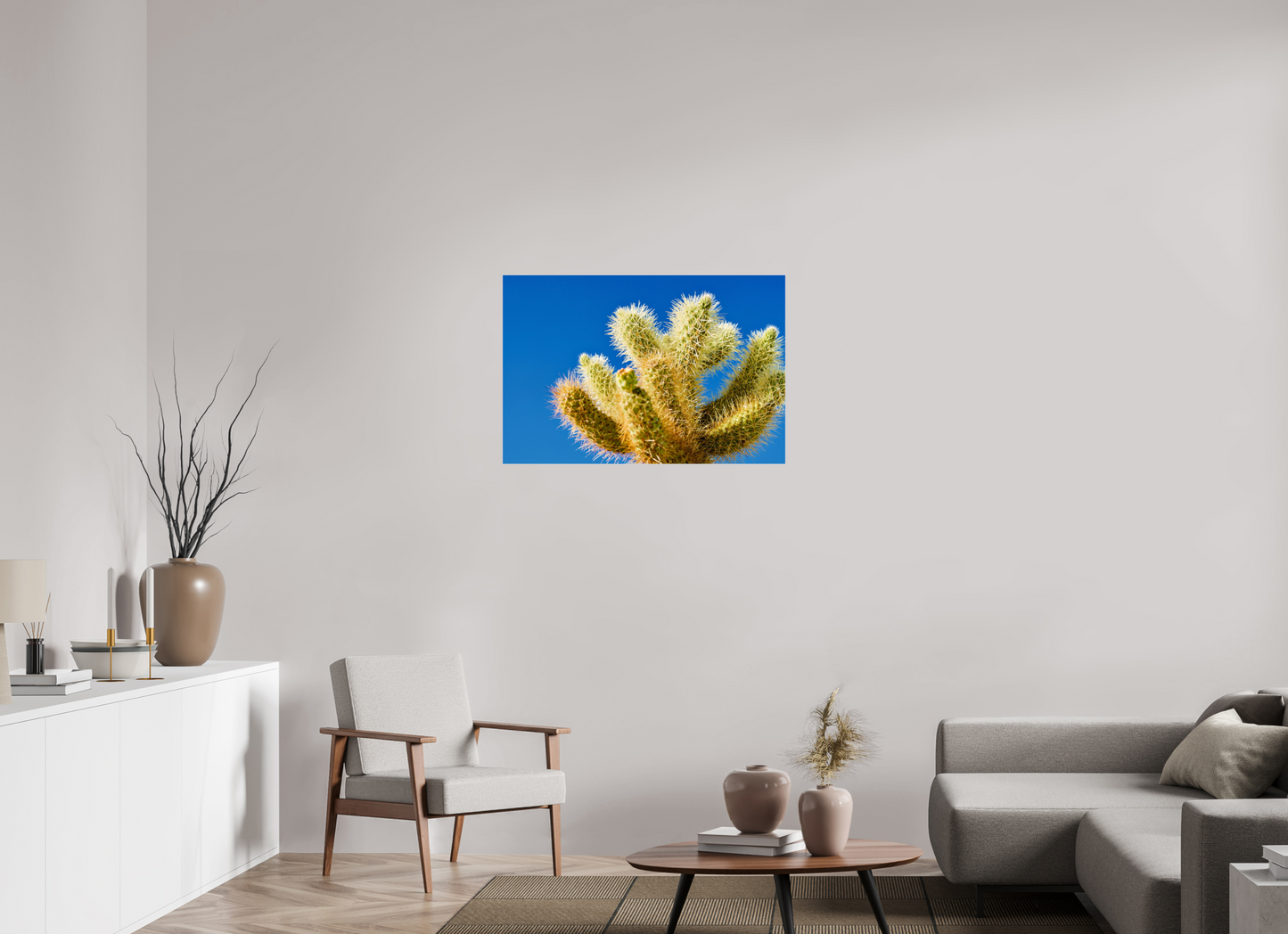 Cactus and Sky