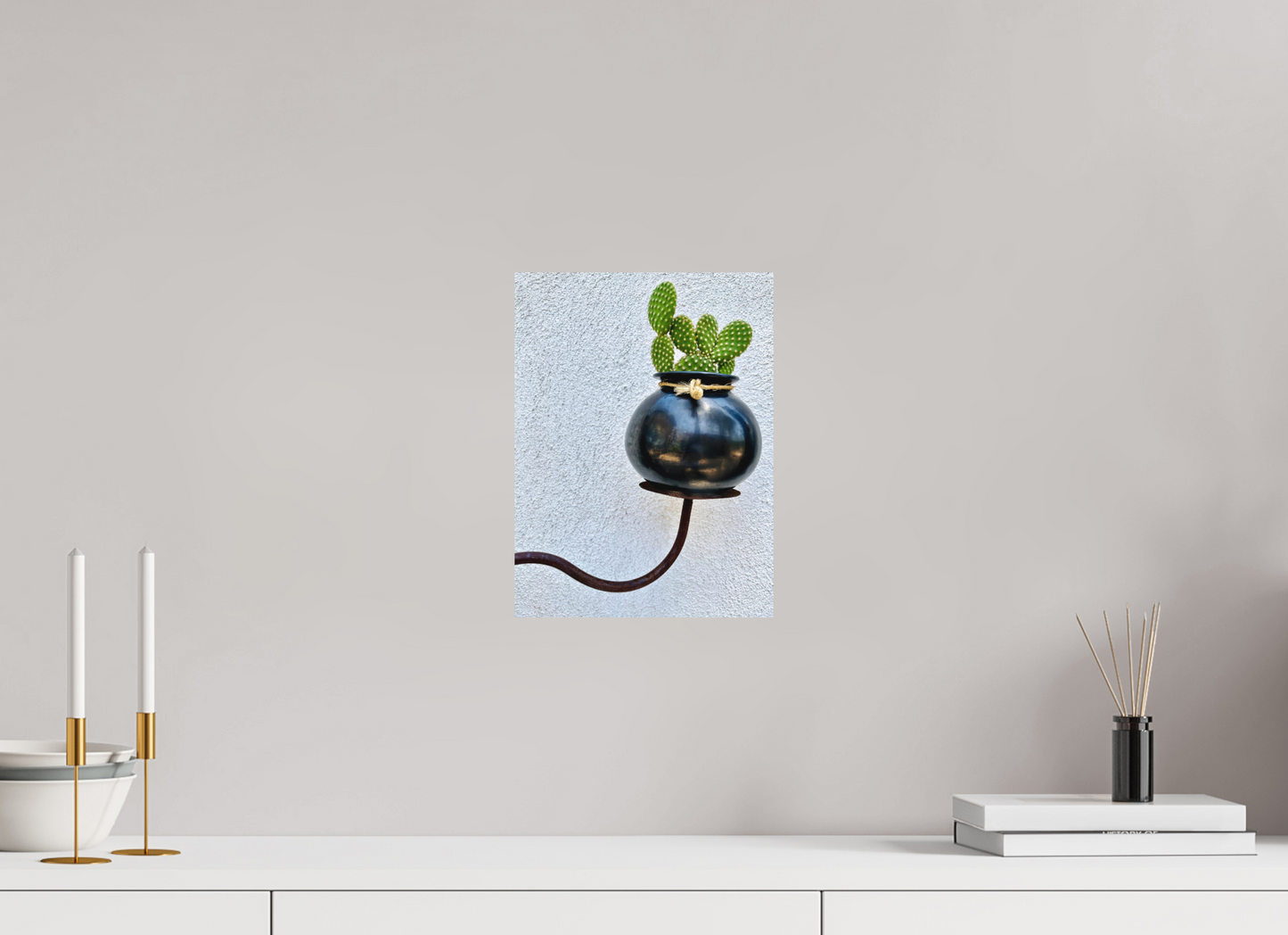 Cactus Pot Display