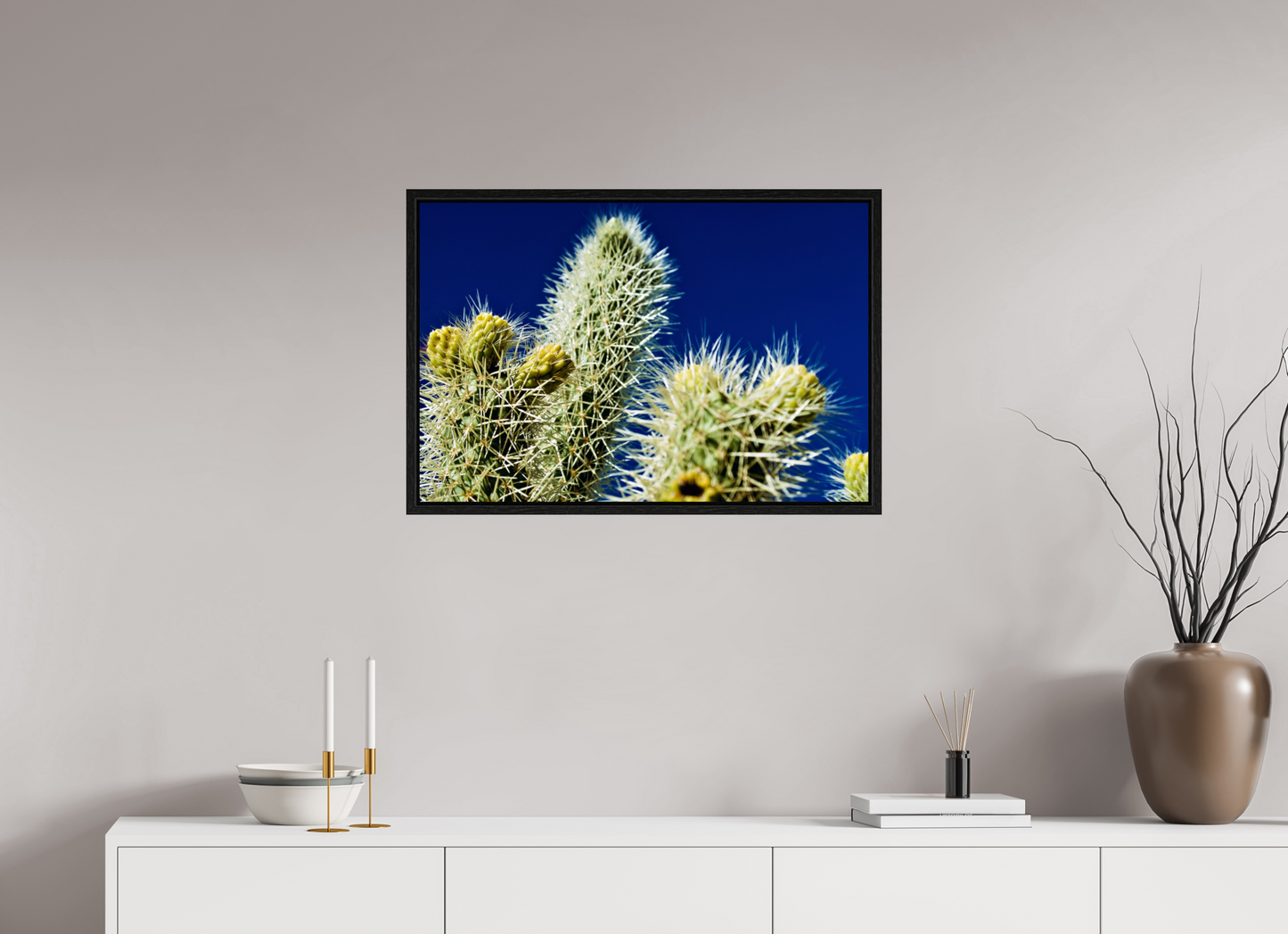 Silver Cholla Blue Sky