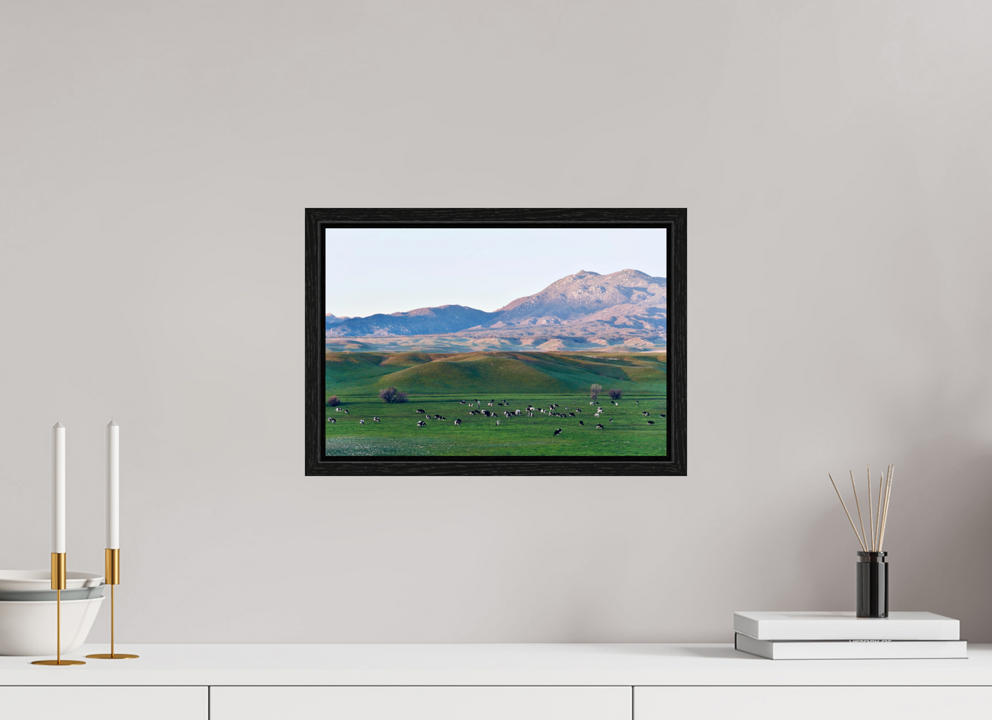 Borrego Springs Cow Grazing Pastures