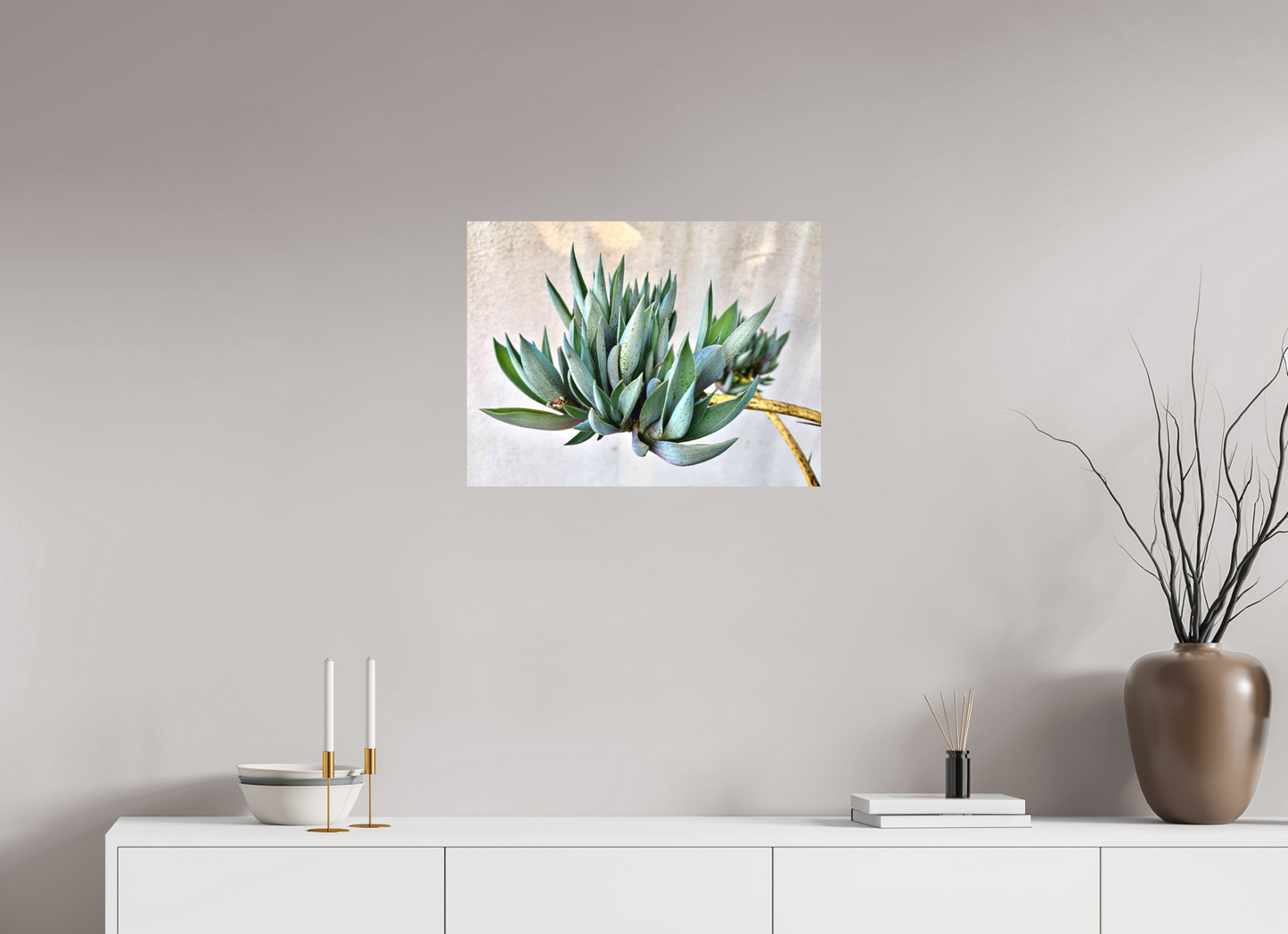 Desert Cactus Blossom on Stem
