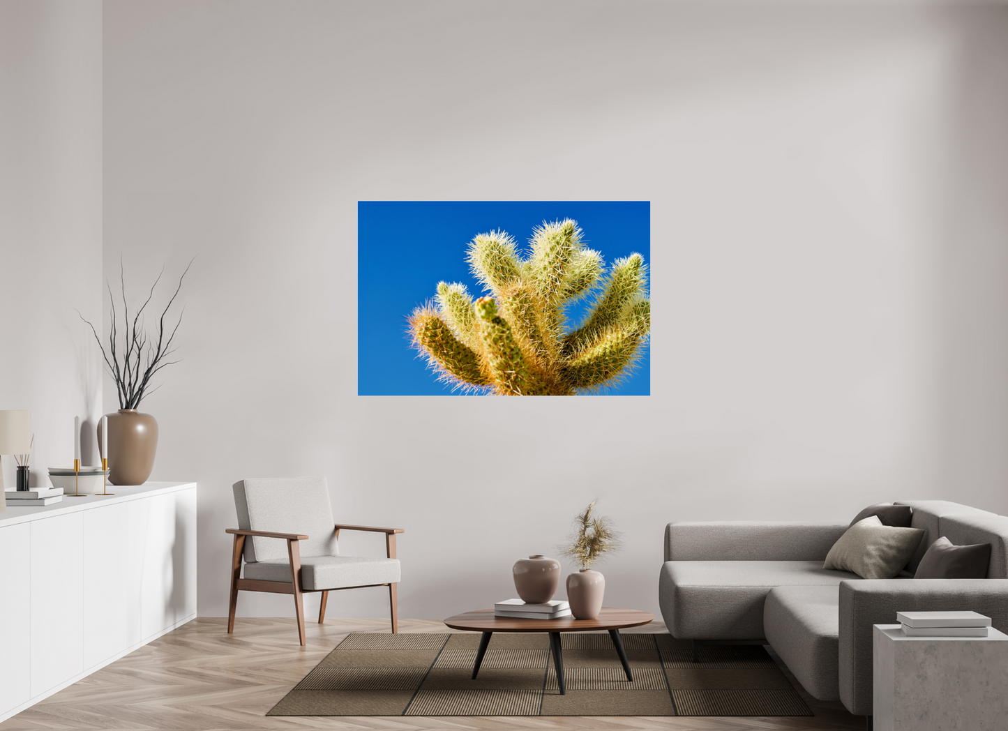 Cactus and Sky