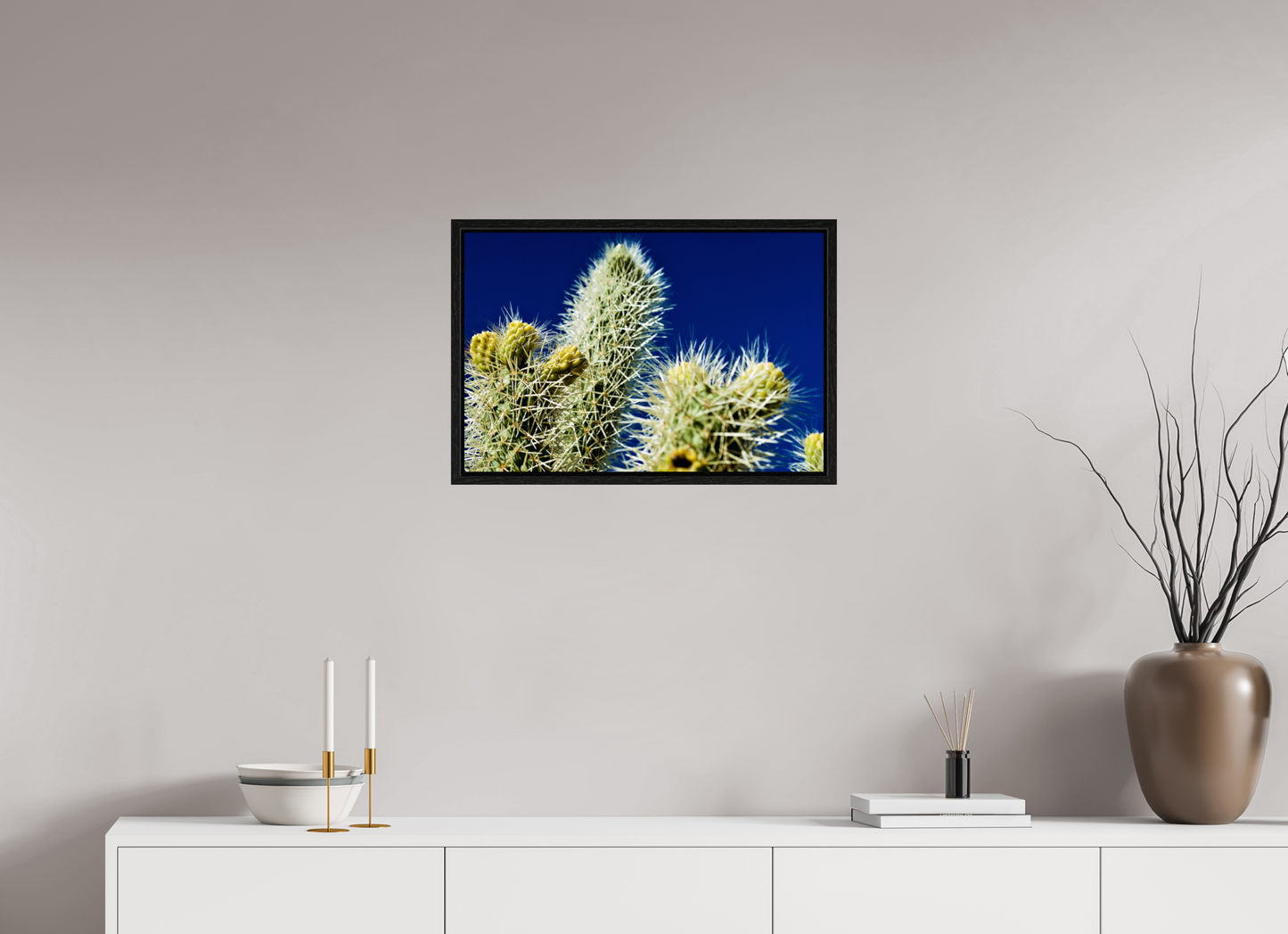 Silver Cholla Blue Sky
