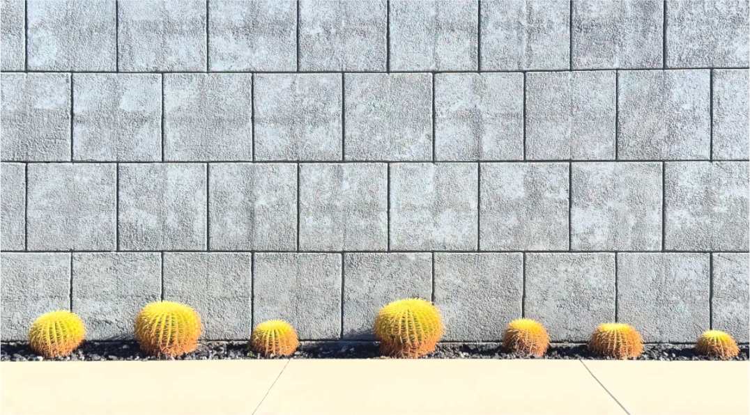 Concrete Cactus Wall