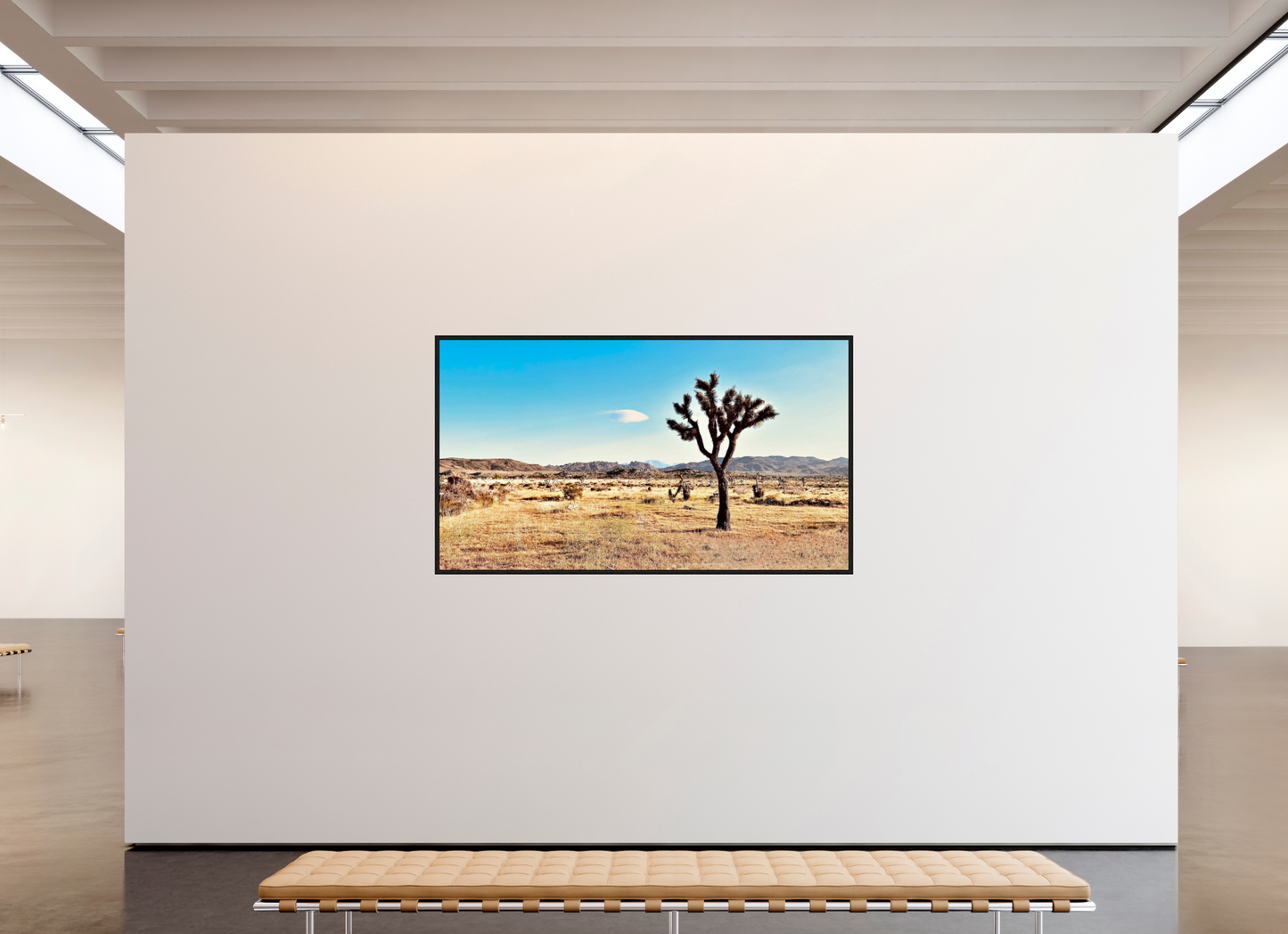 Lone Yucca Valley Joshua Tree