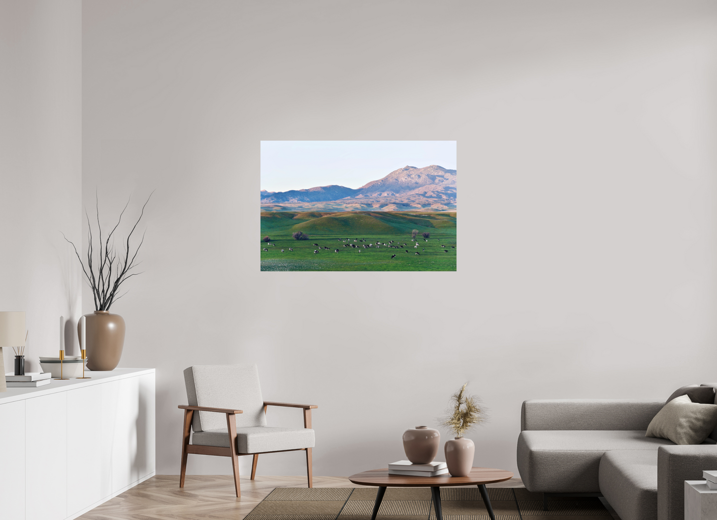 Borrego Springs Cow Grazing Pastures