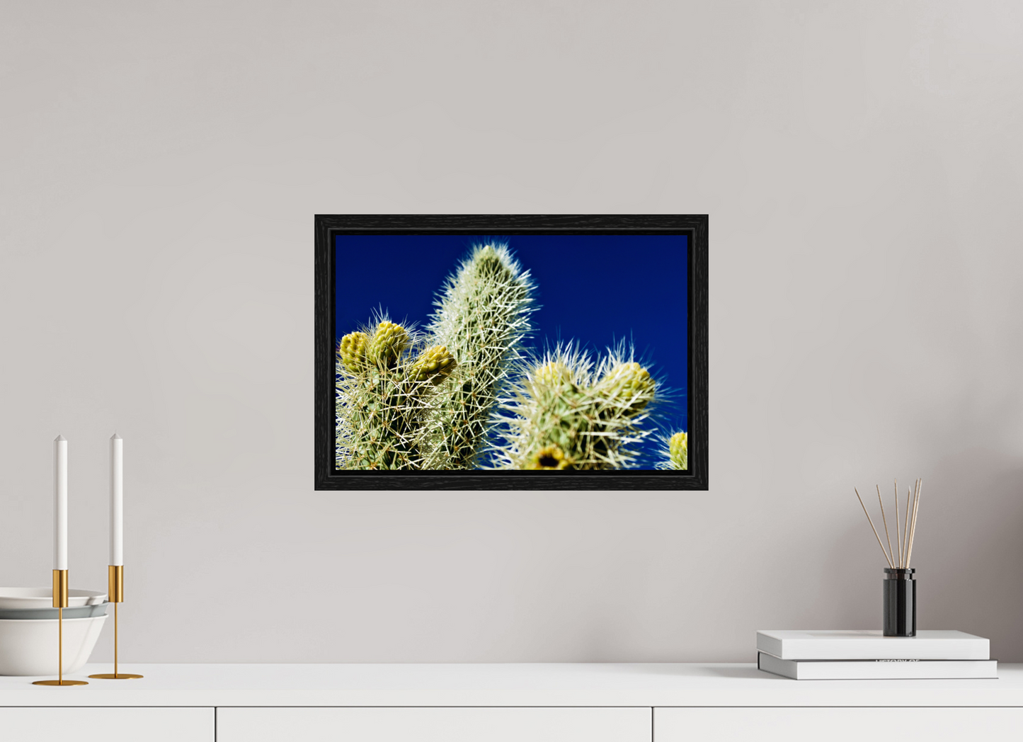 Silver Cholla Blue Sky