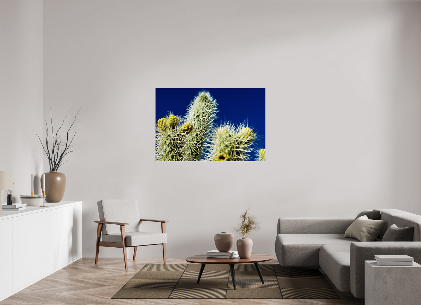 Silver Cholla Blue Sky