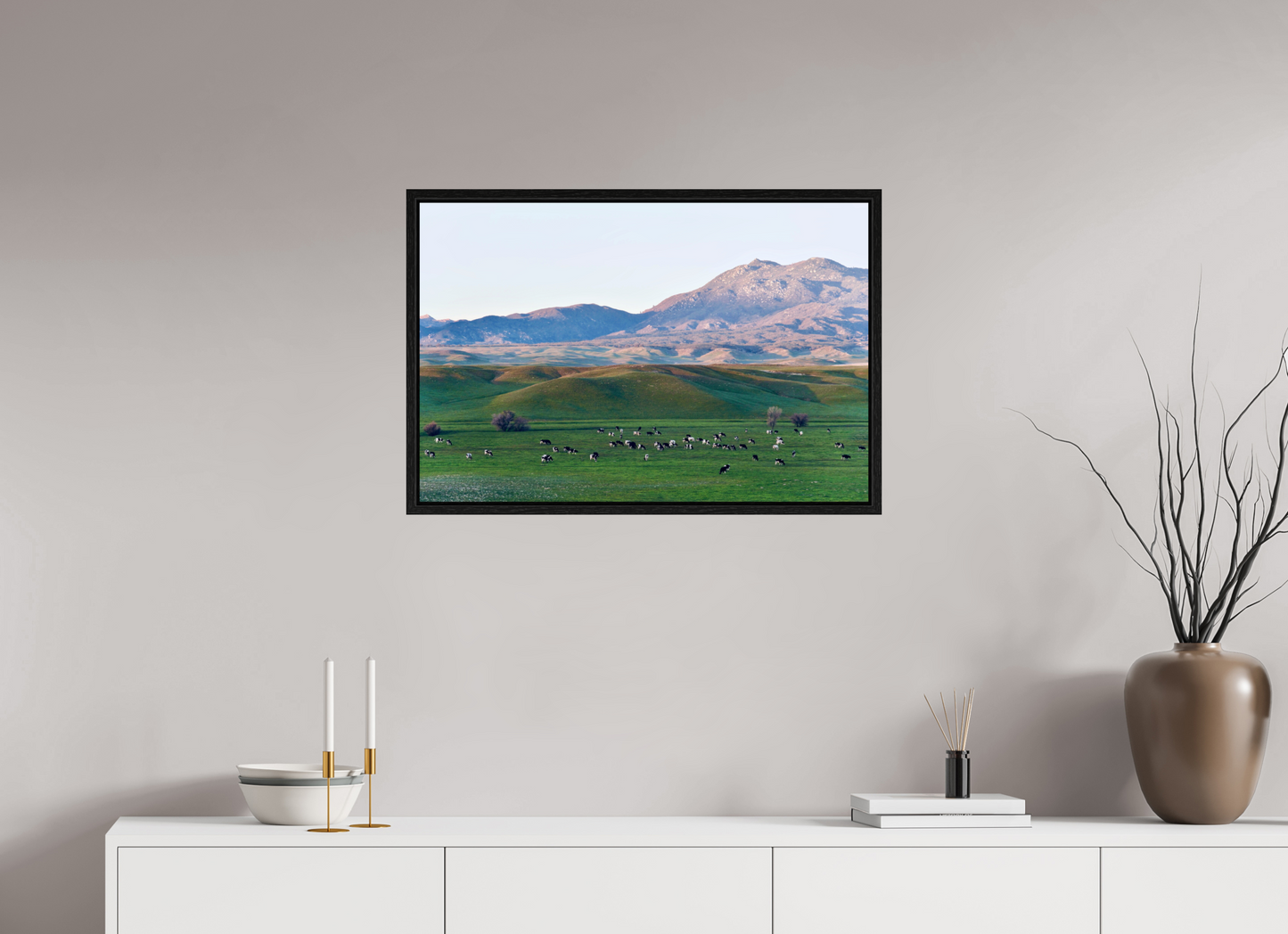 Borrego Springs Cow Grazing Pastures