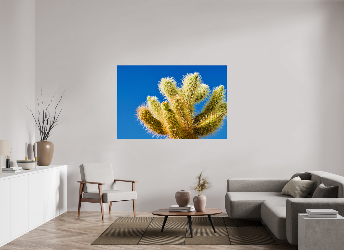 Cactus and Sky