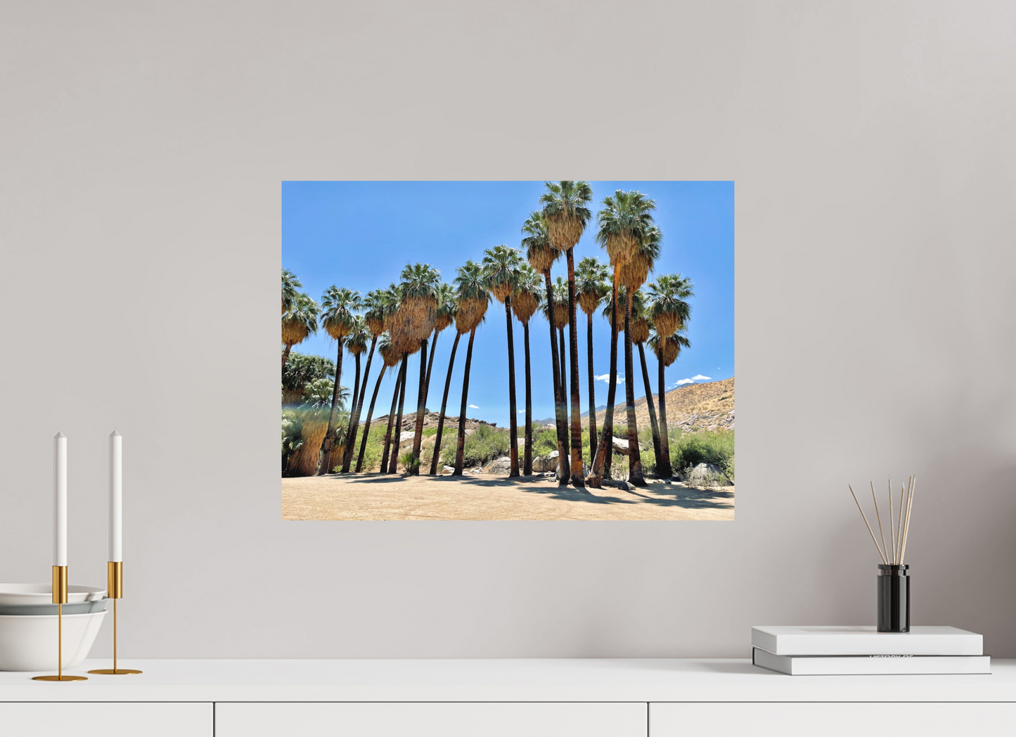 Palms of Santa Rosa