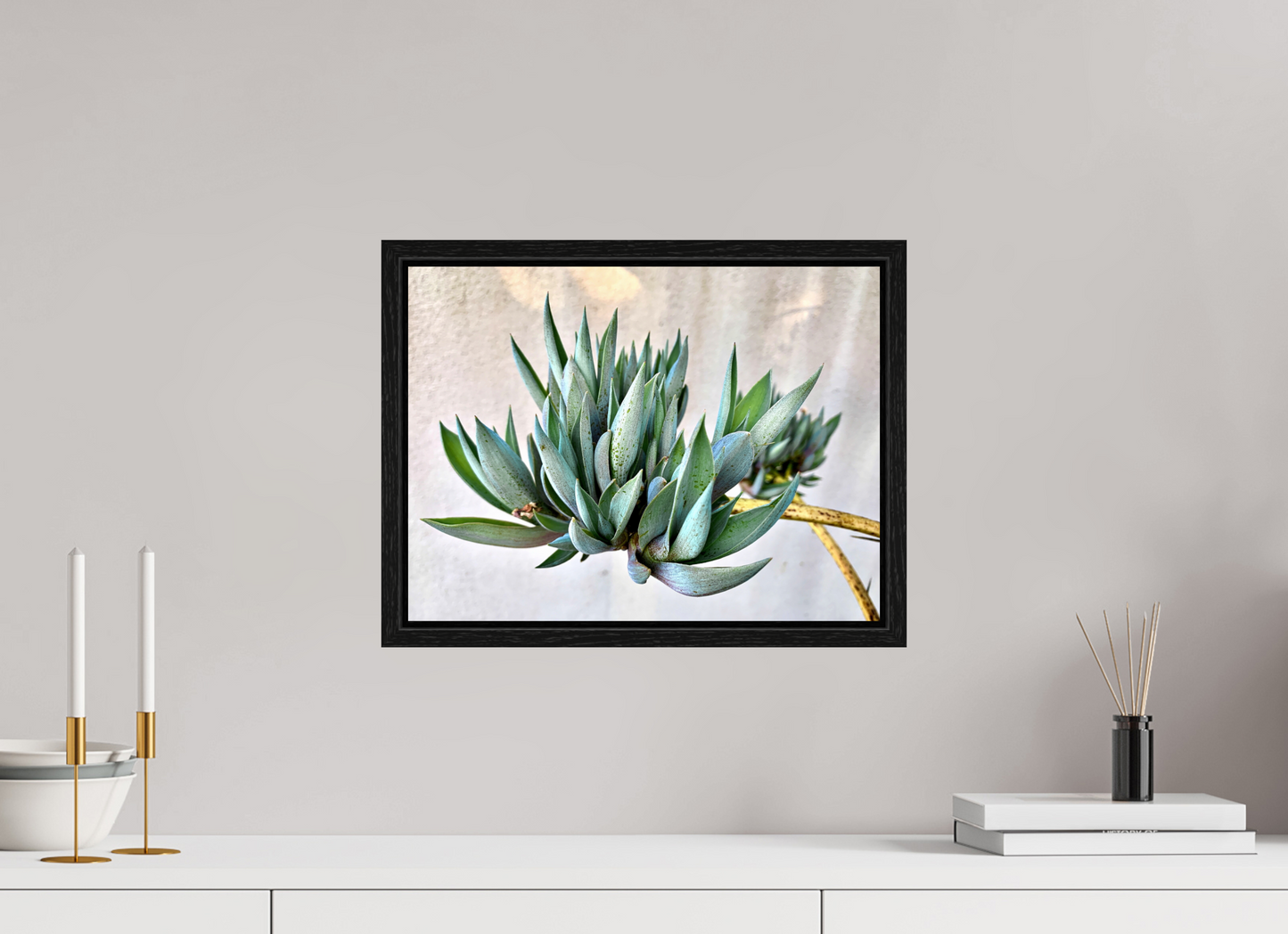 Desert Cactus Blossom on Stem