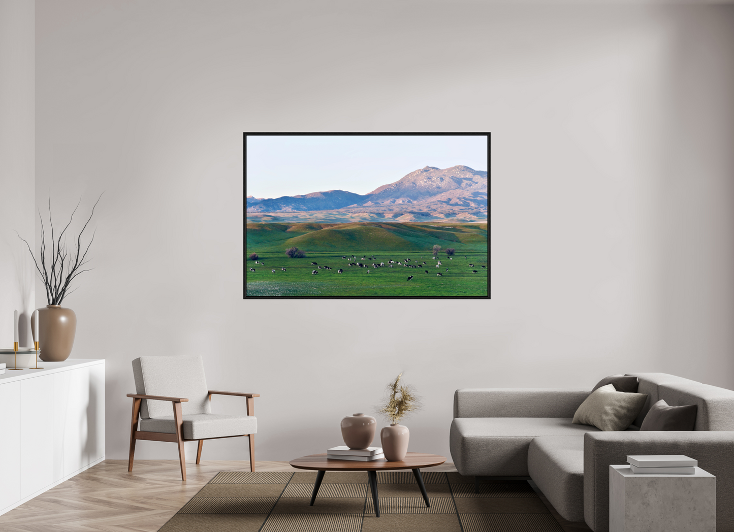 Borrego Springs Cow Grazing Pastures