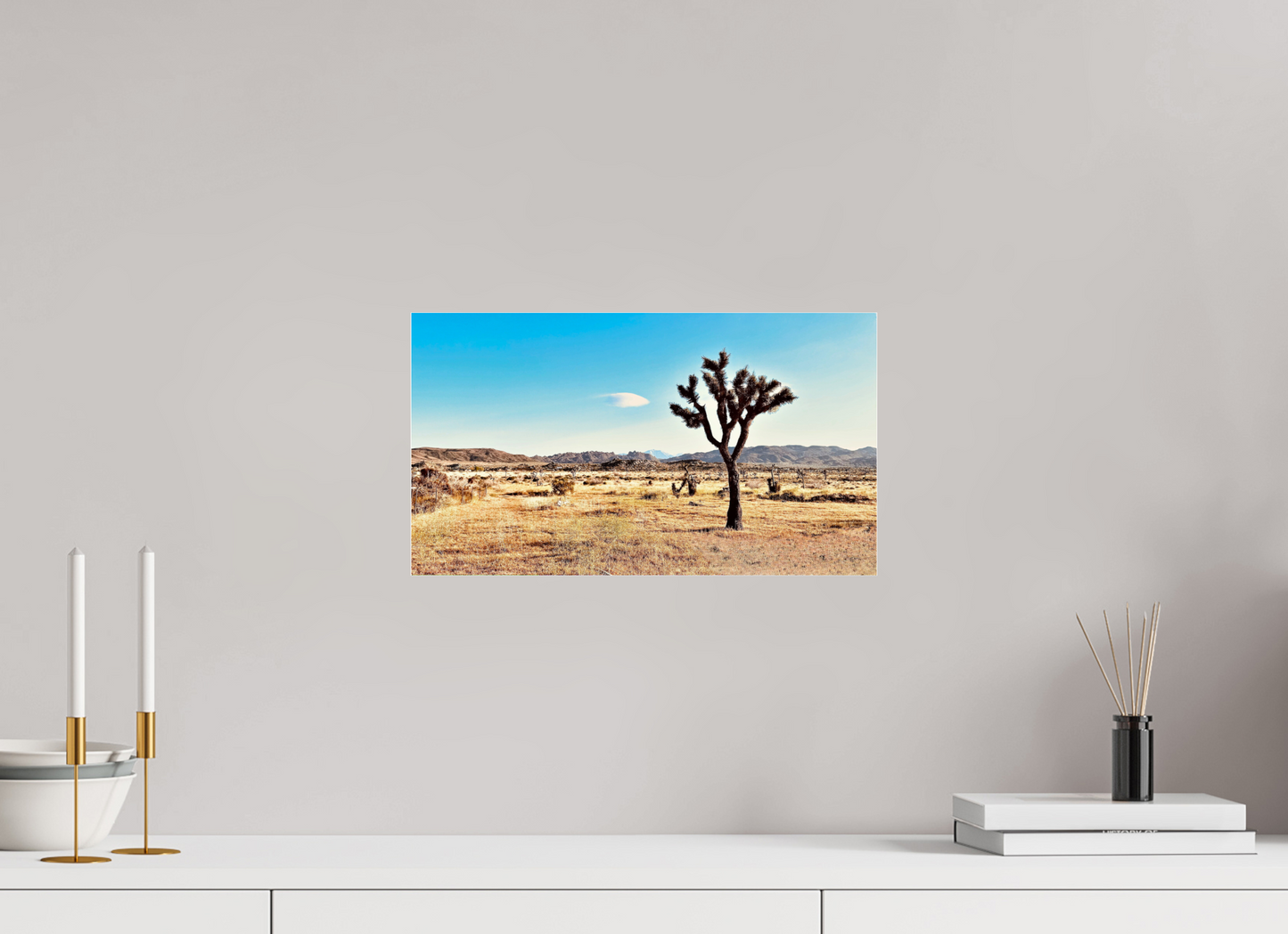 Lone Yucca Valley Joshua Tree