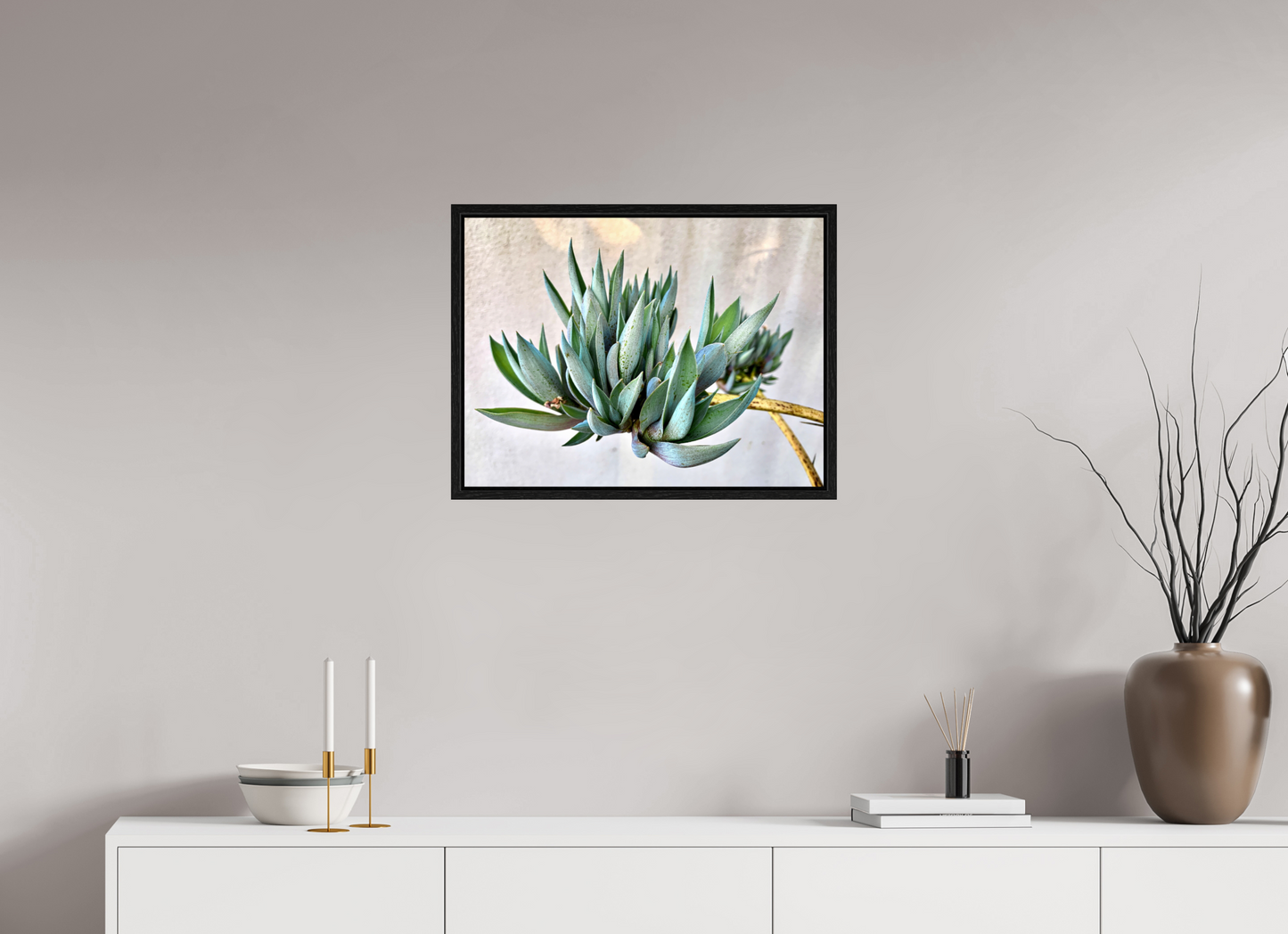 Desert Cactus Blossom on Stem
