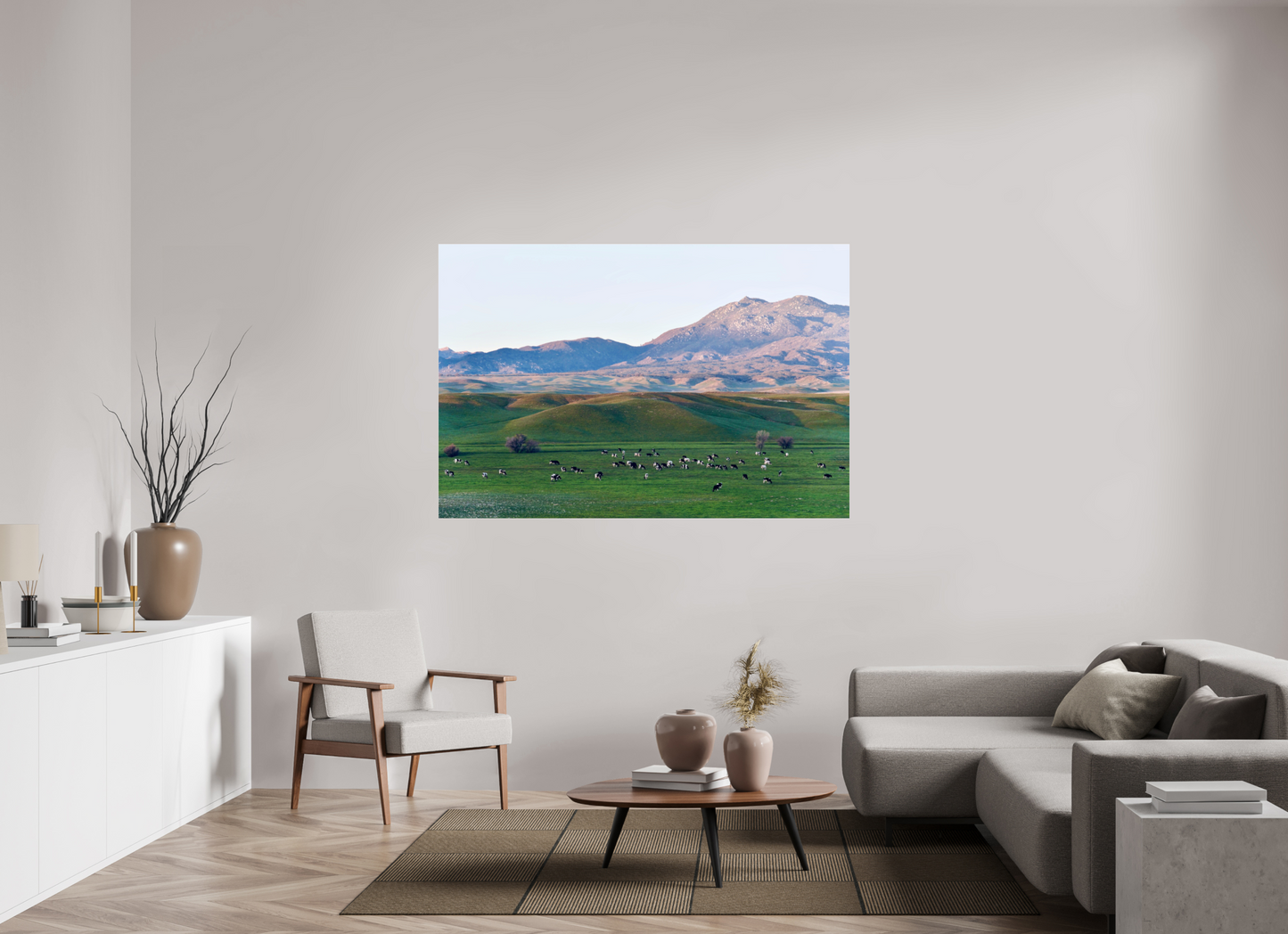 Borrego Springs Cow Grazing Pastures