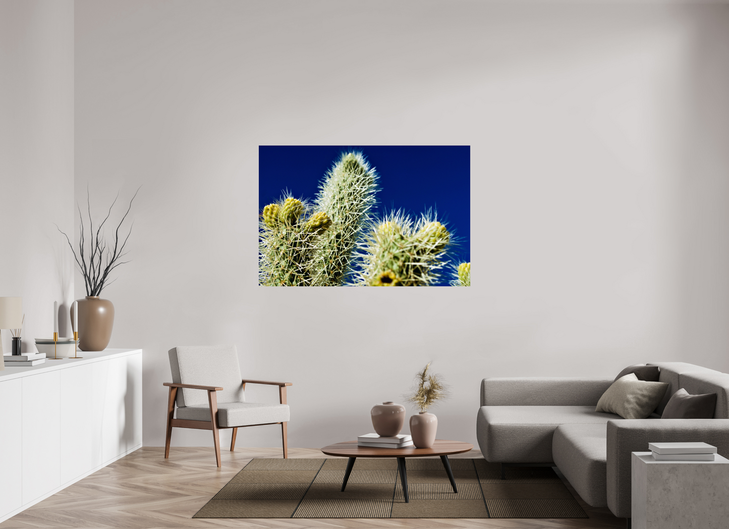 Silver Cholla Blue Sky