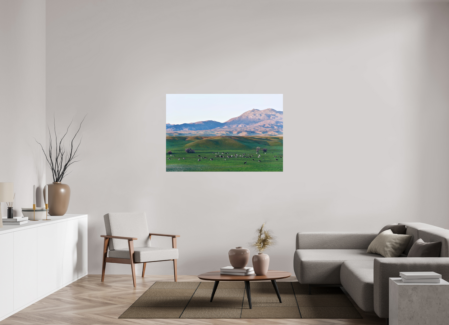 Borrego Springs Cow Grazing Pastures