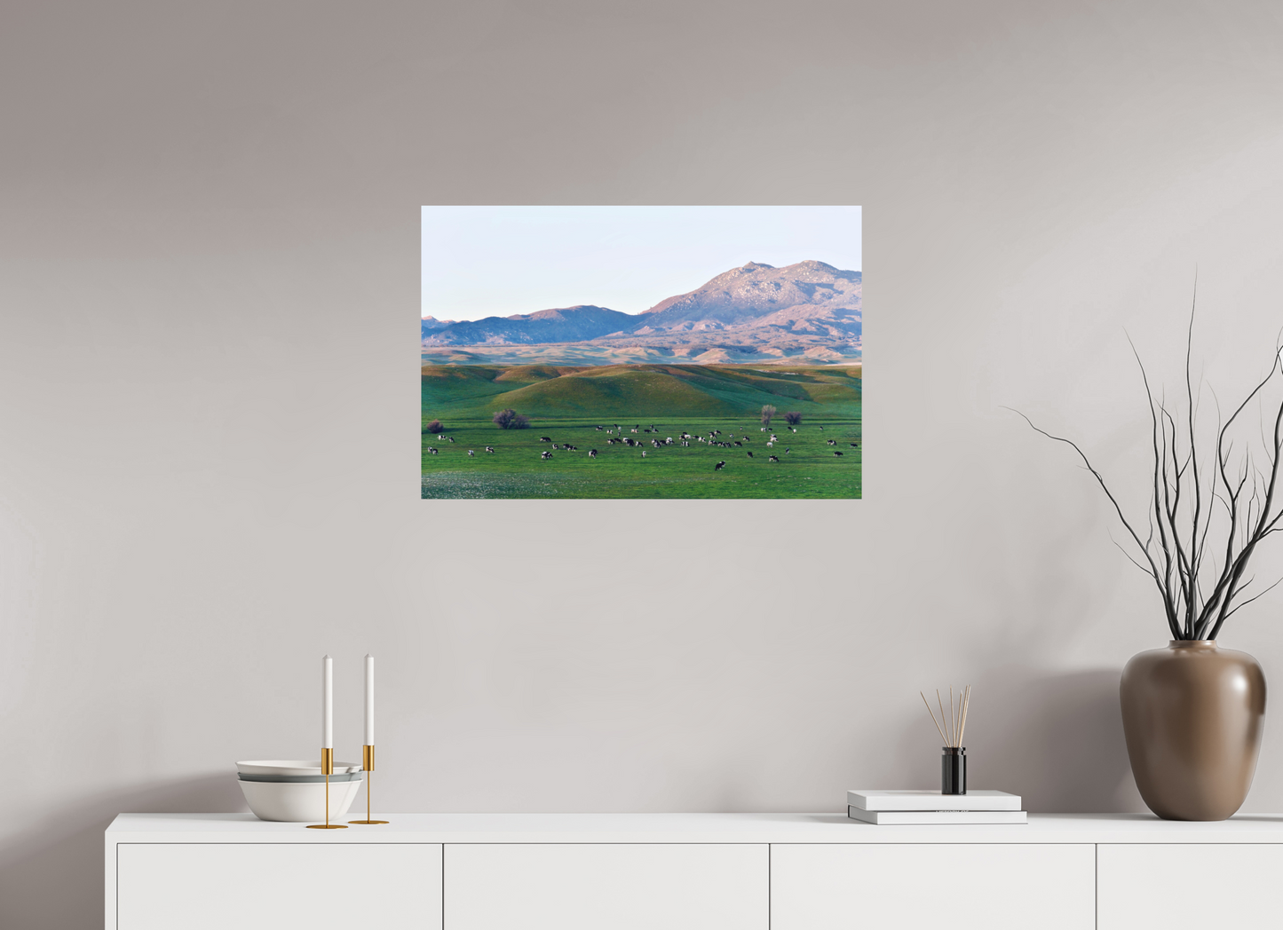 Borrego Springs Cow Grazing Pastures