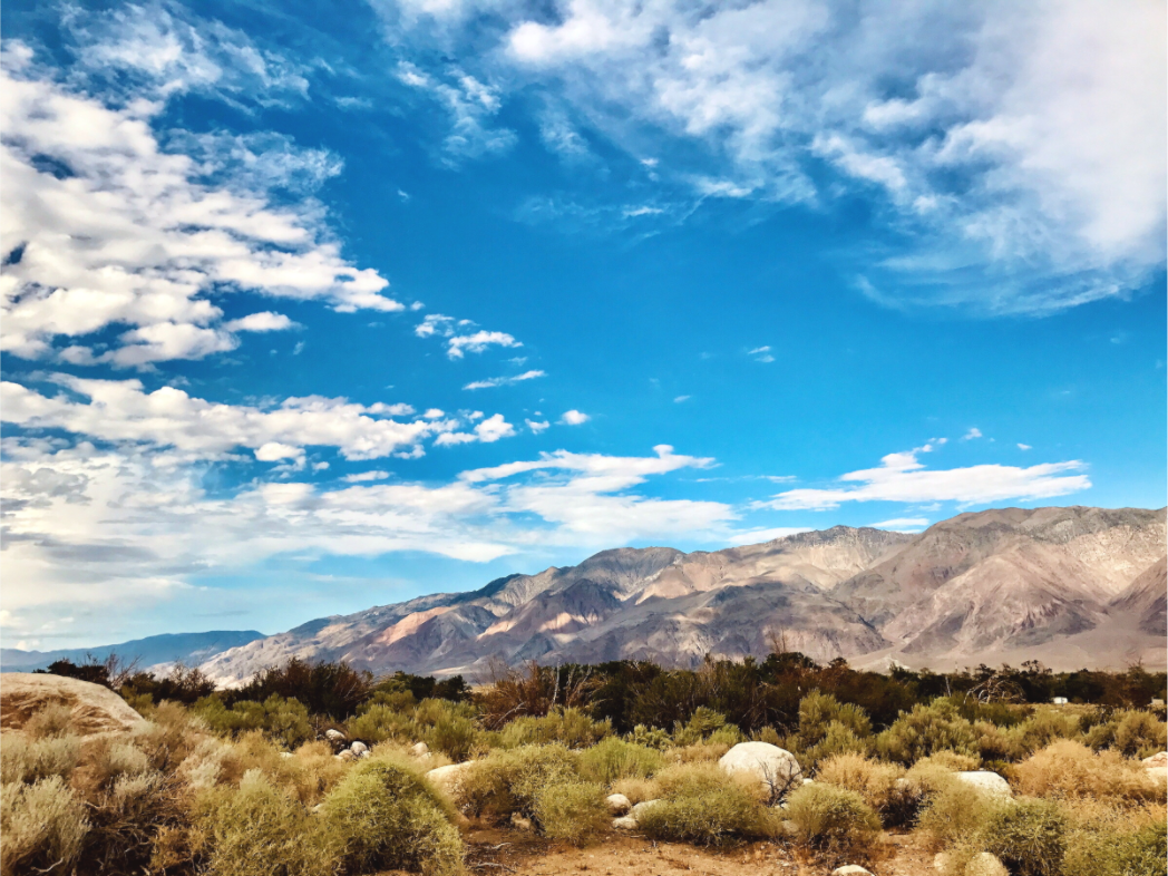Lone Pine Lands