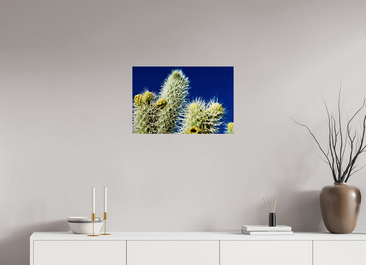 Silver Cholla Blue Sky