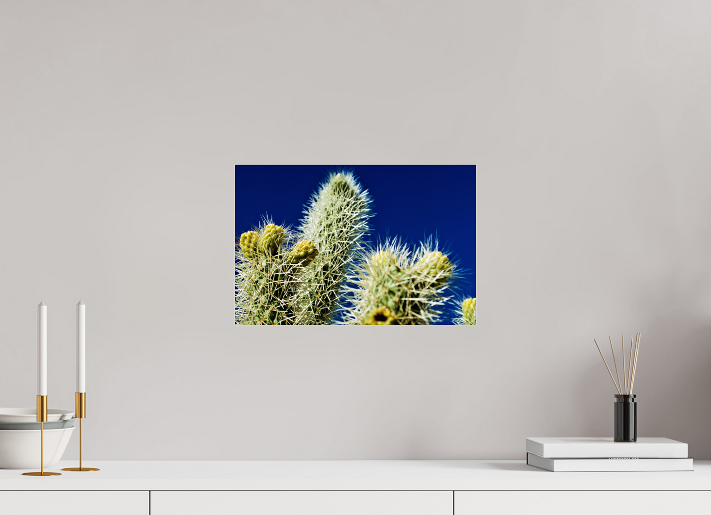 Silver Cholla Blue Sky