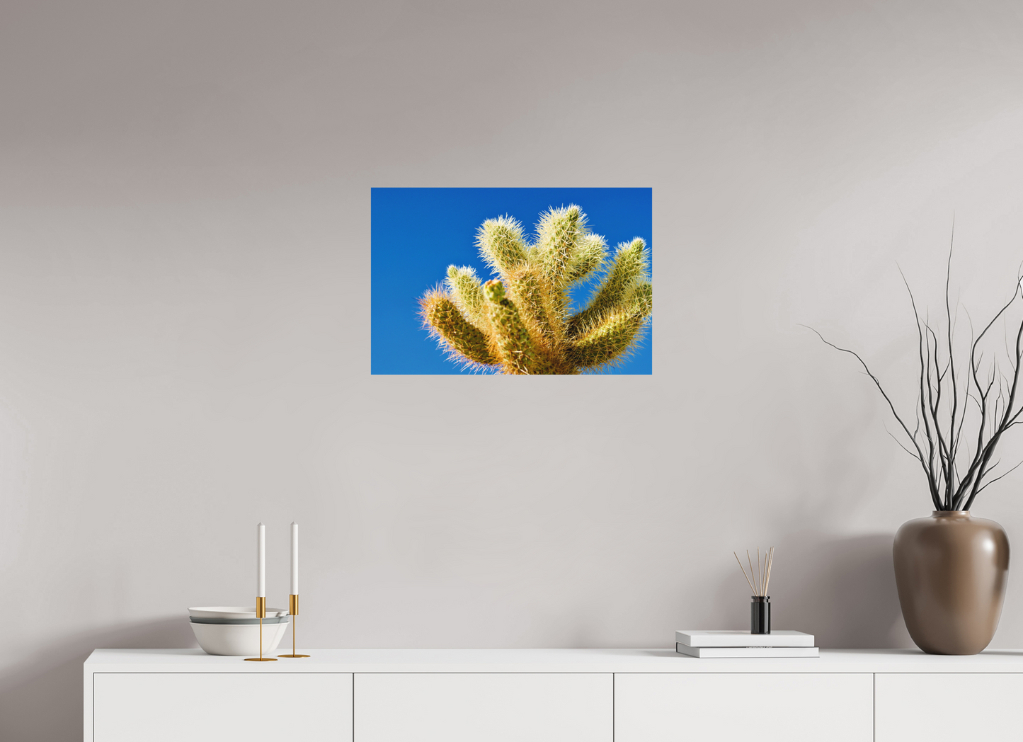 Cactus and Sky