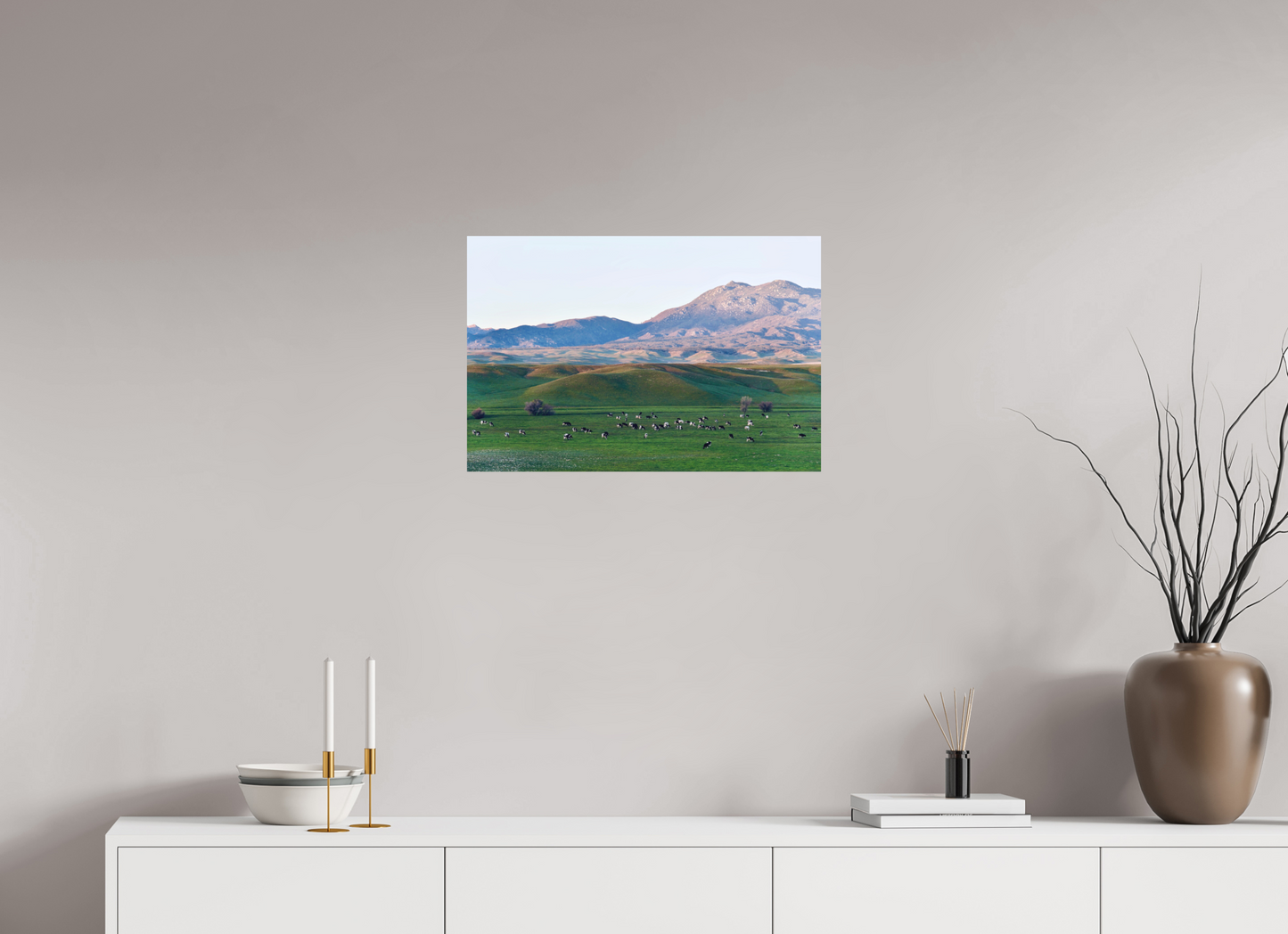 Borrego Springs Cow Grazing Pastures