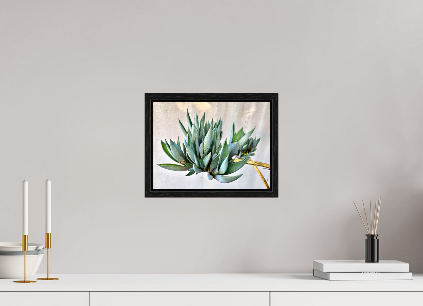Desert Cactus Blossom on Stem