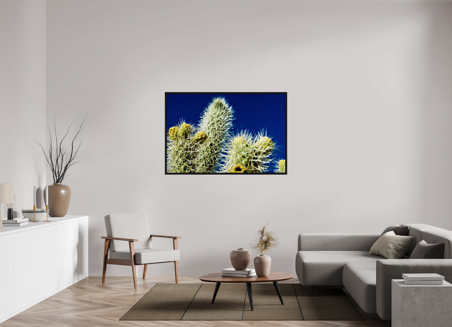 Silver Cholla Blue Sky