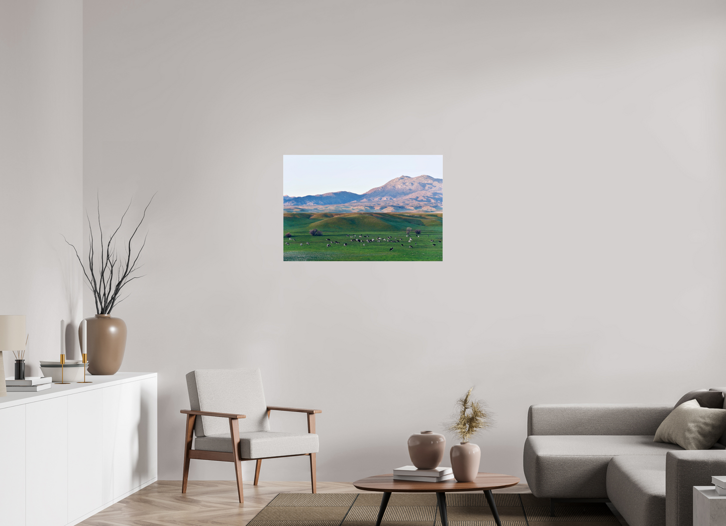 Borrego Springs Cow Grazing Pastures