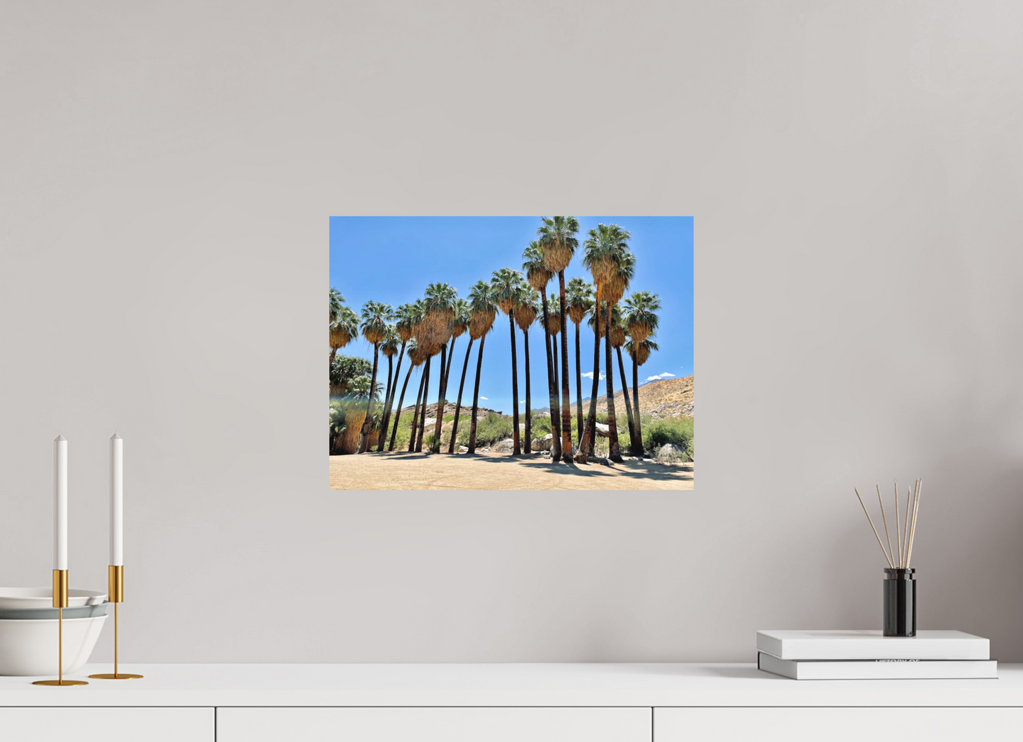 Palms of Santa Rosa