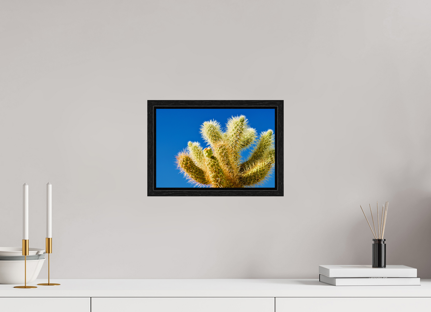 Cactus and Sky