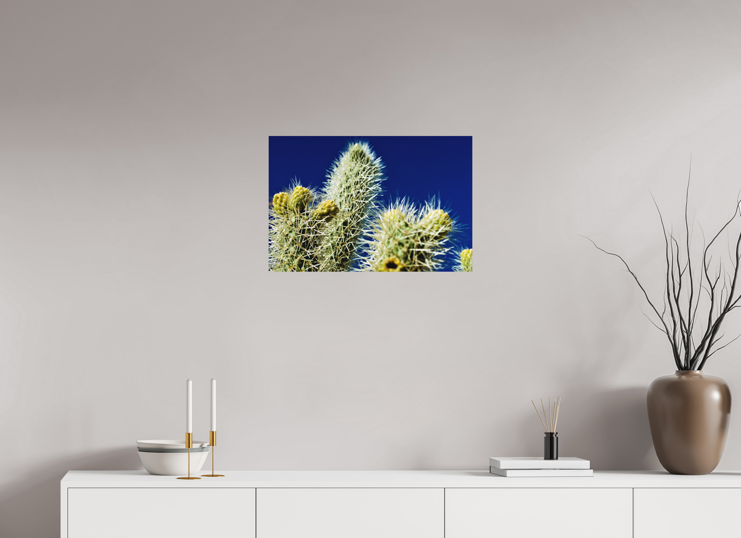 Silver Cholla Blue Sky