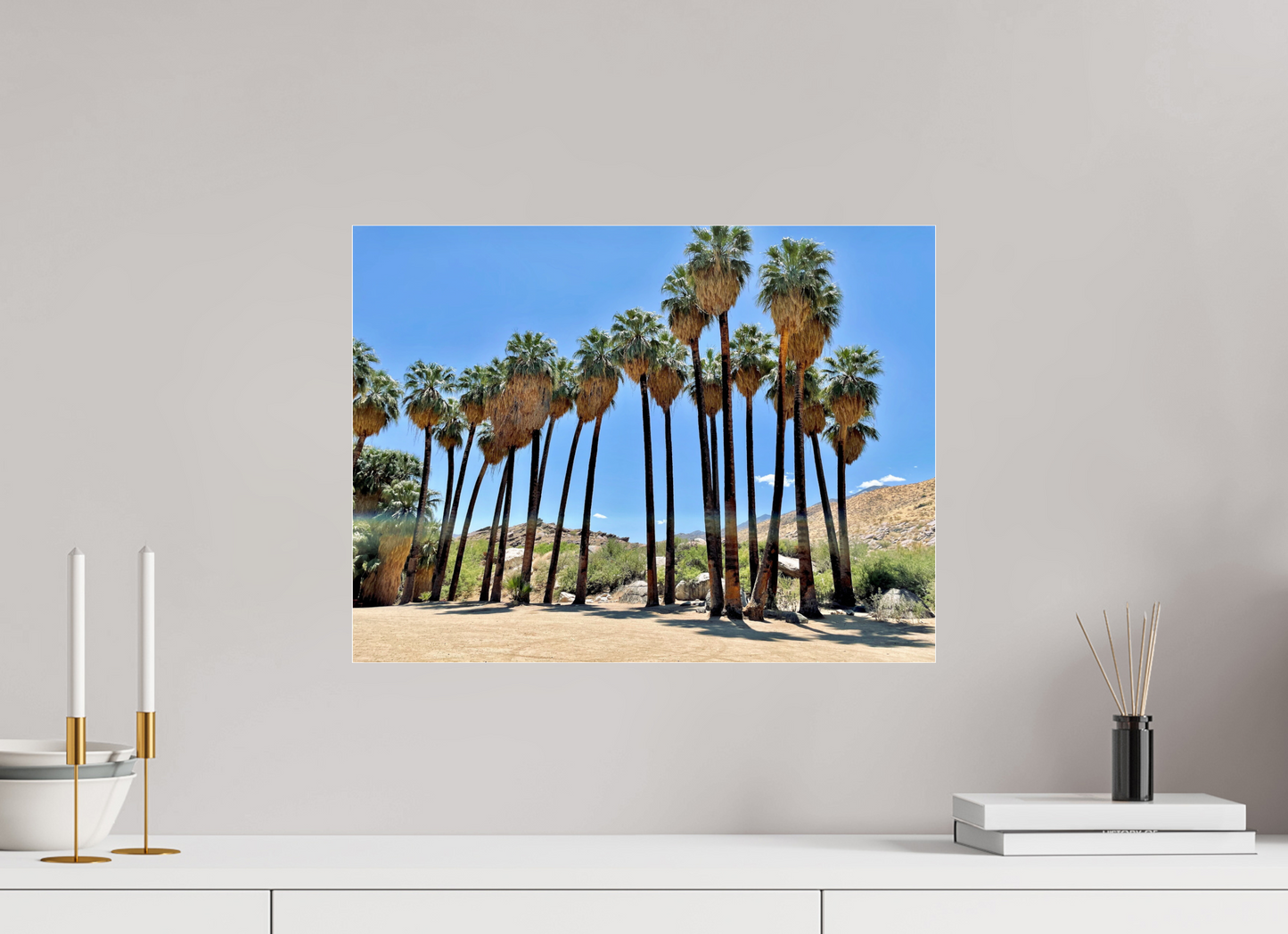 Palms of Santa Rosa
