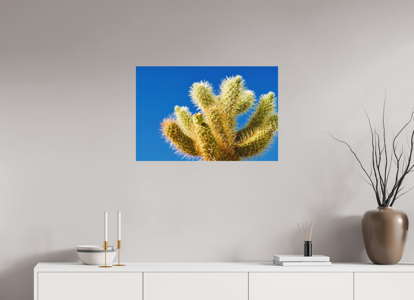 Cactus and Sky