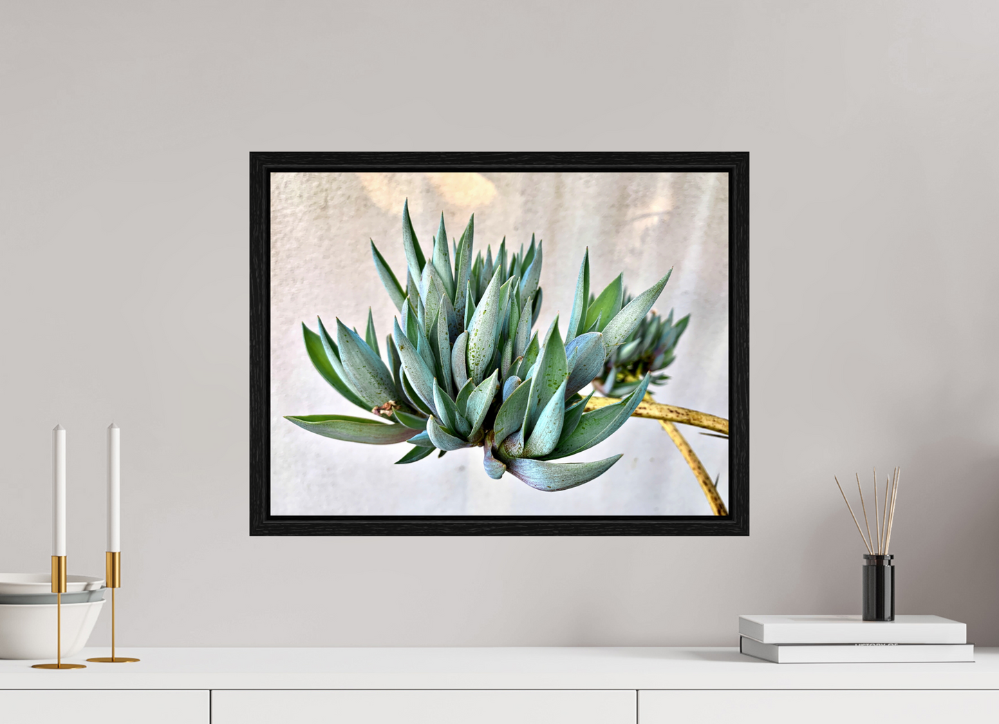 Desert Cactus Blossom on Stem