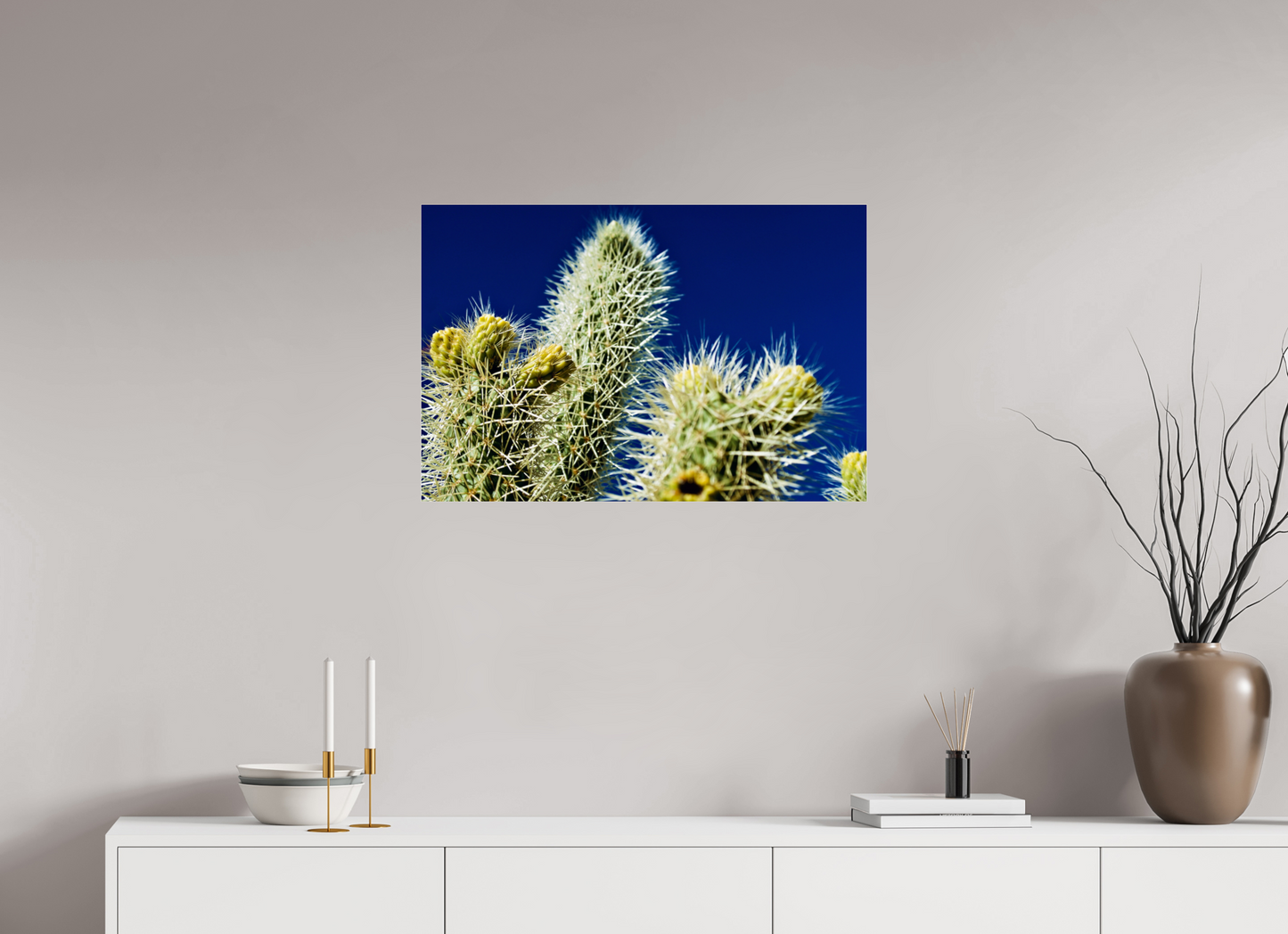 Silver Cholla Blue Sky
