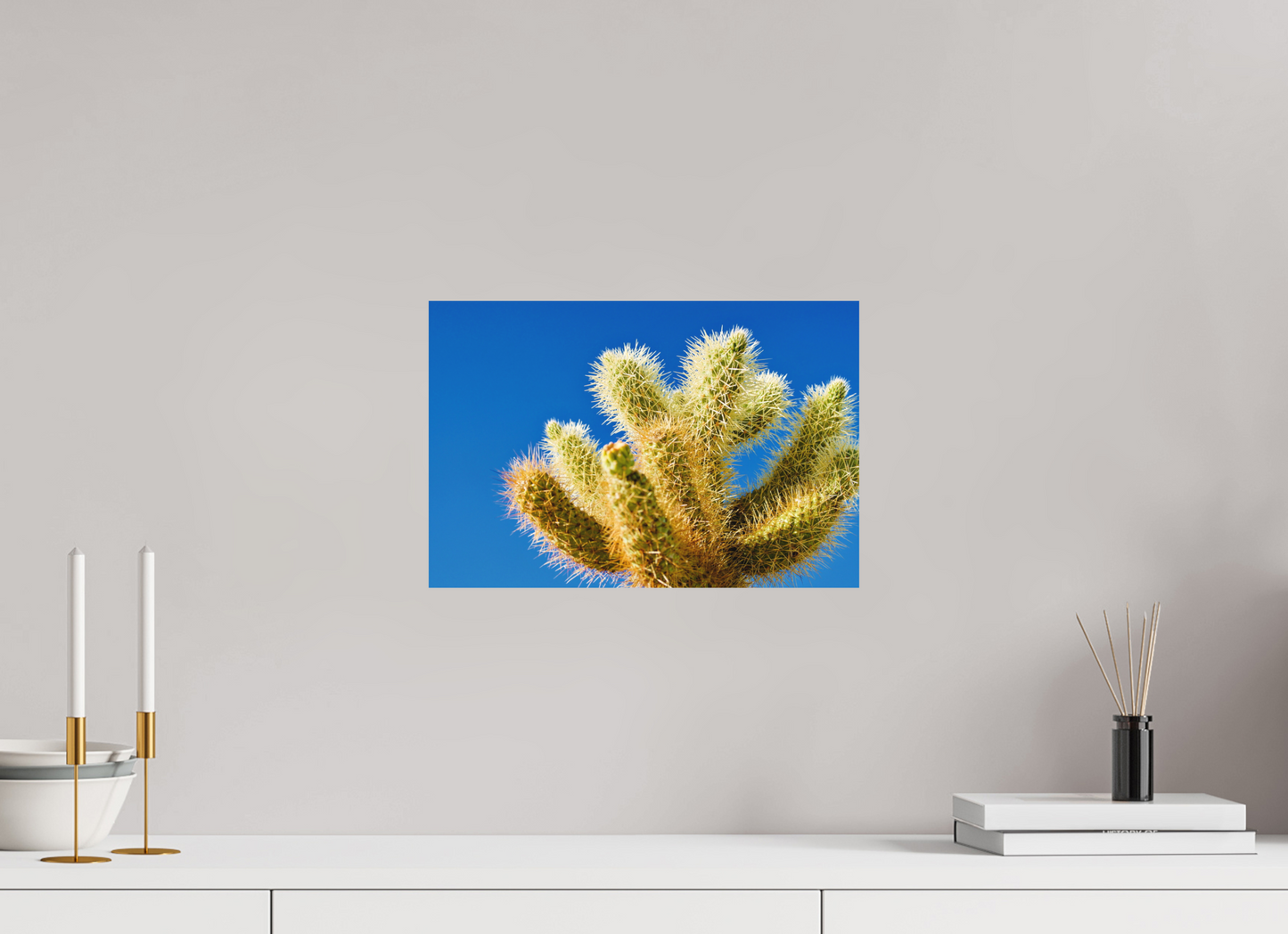 Cactus and Sky