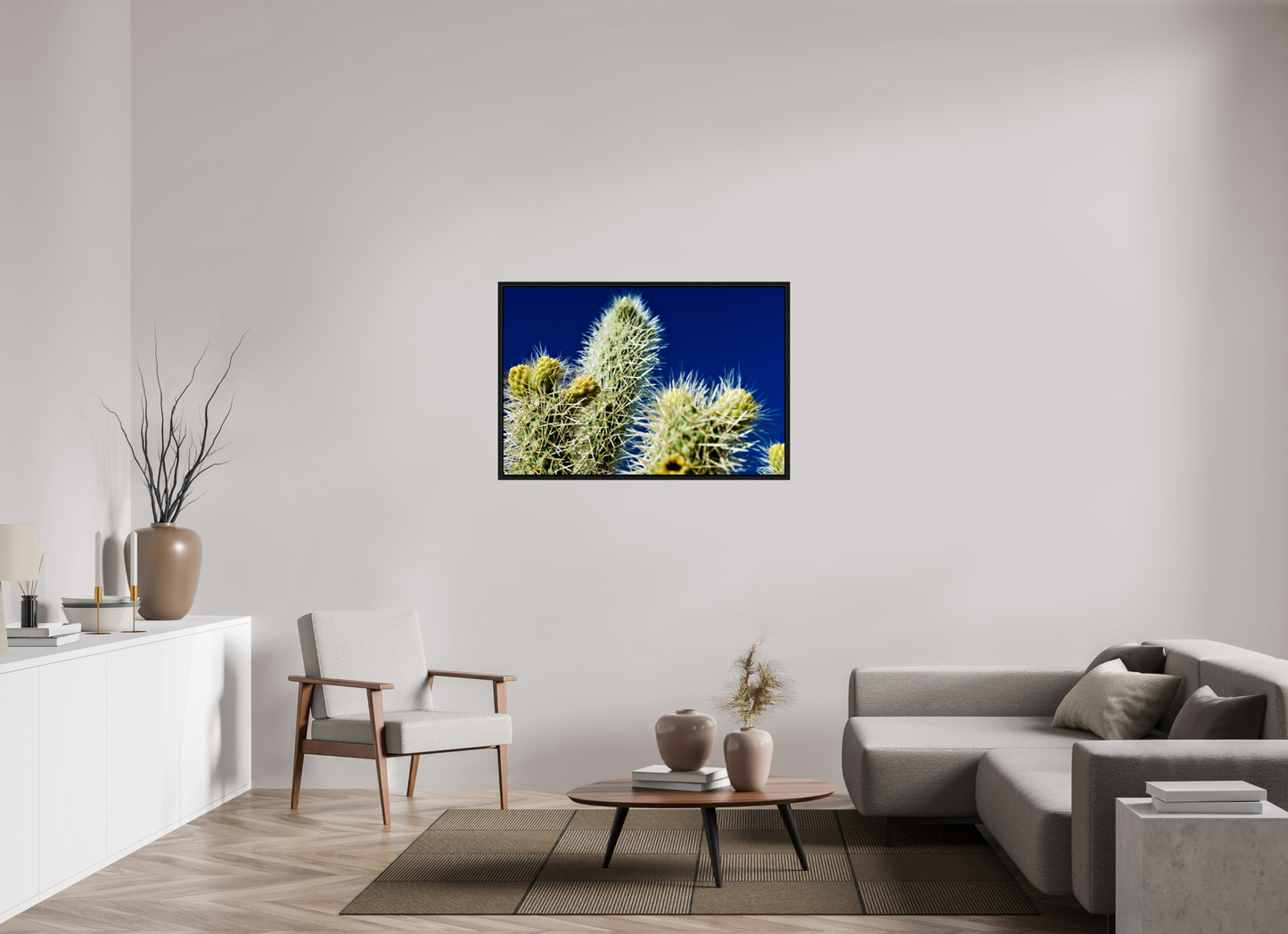 Silver Cholla Blue Sky