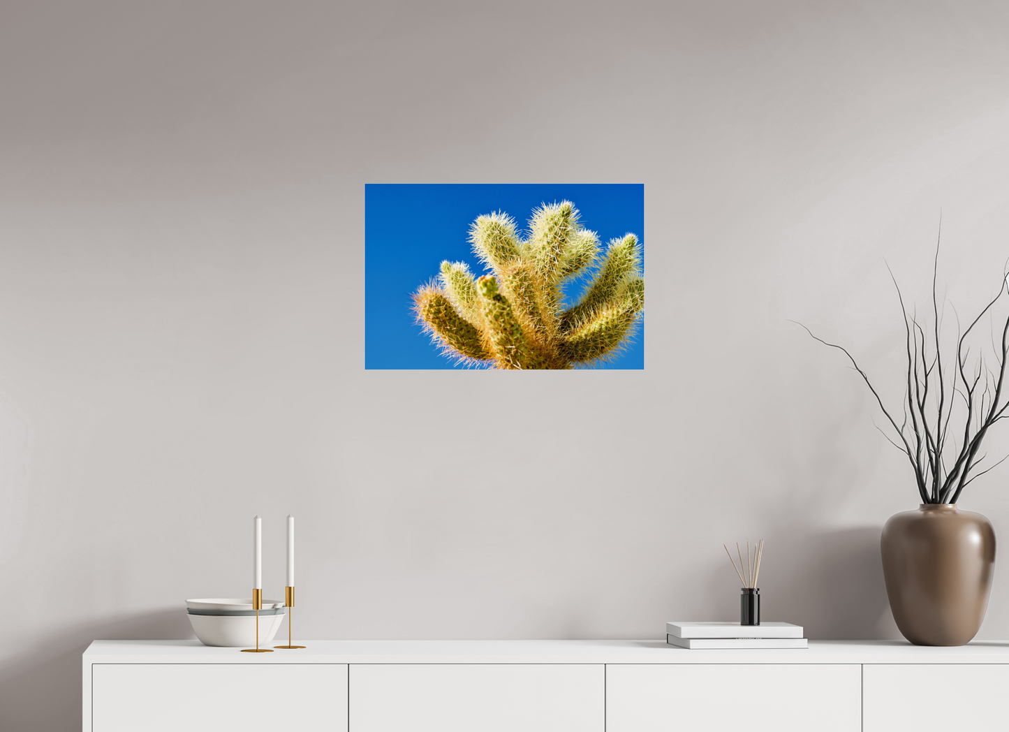 Cactus and Sky