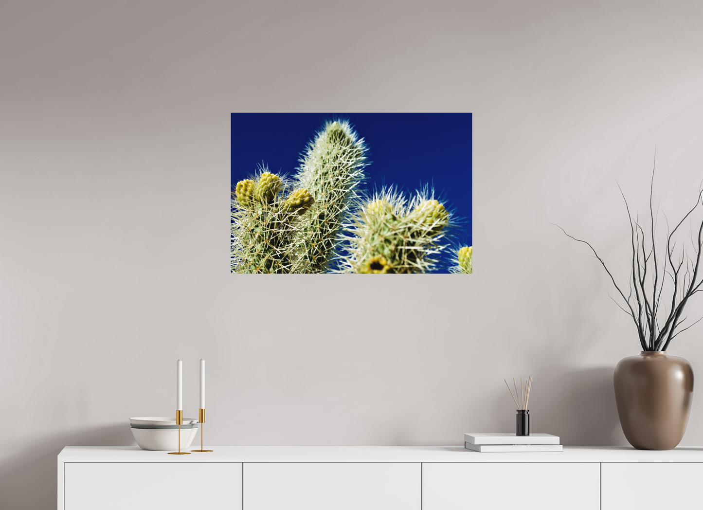 Silver Cholla Blue Sky