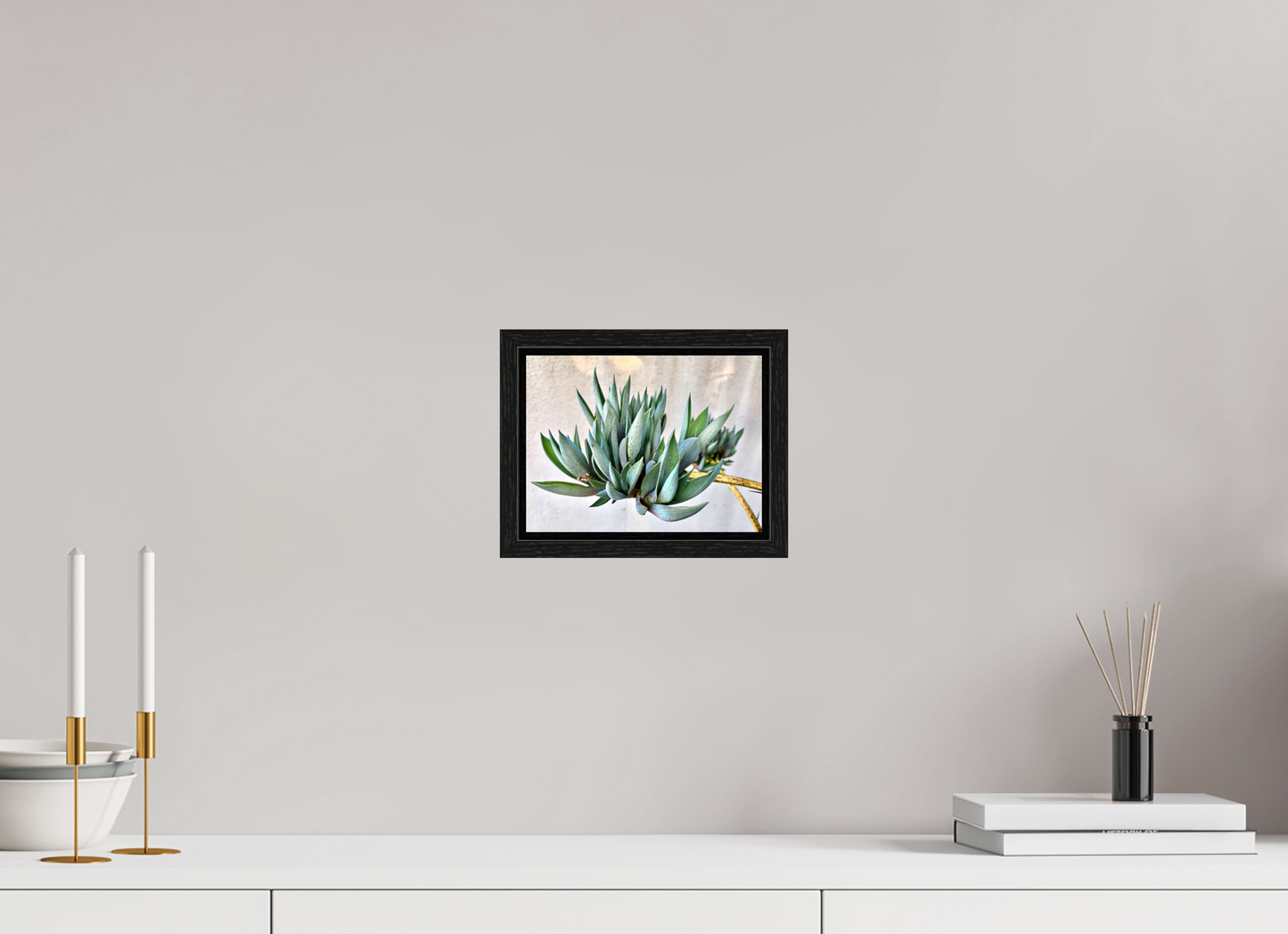Desert Cactus Blossom on Stem