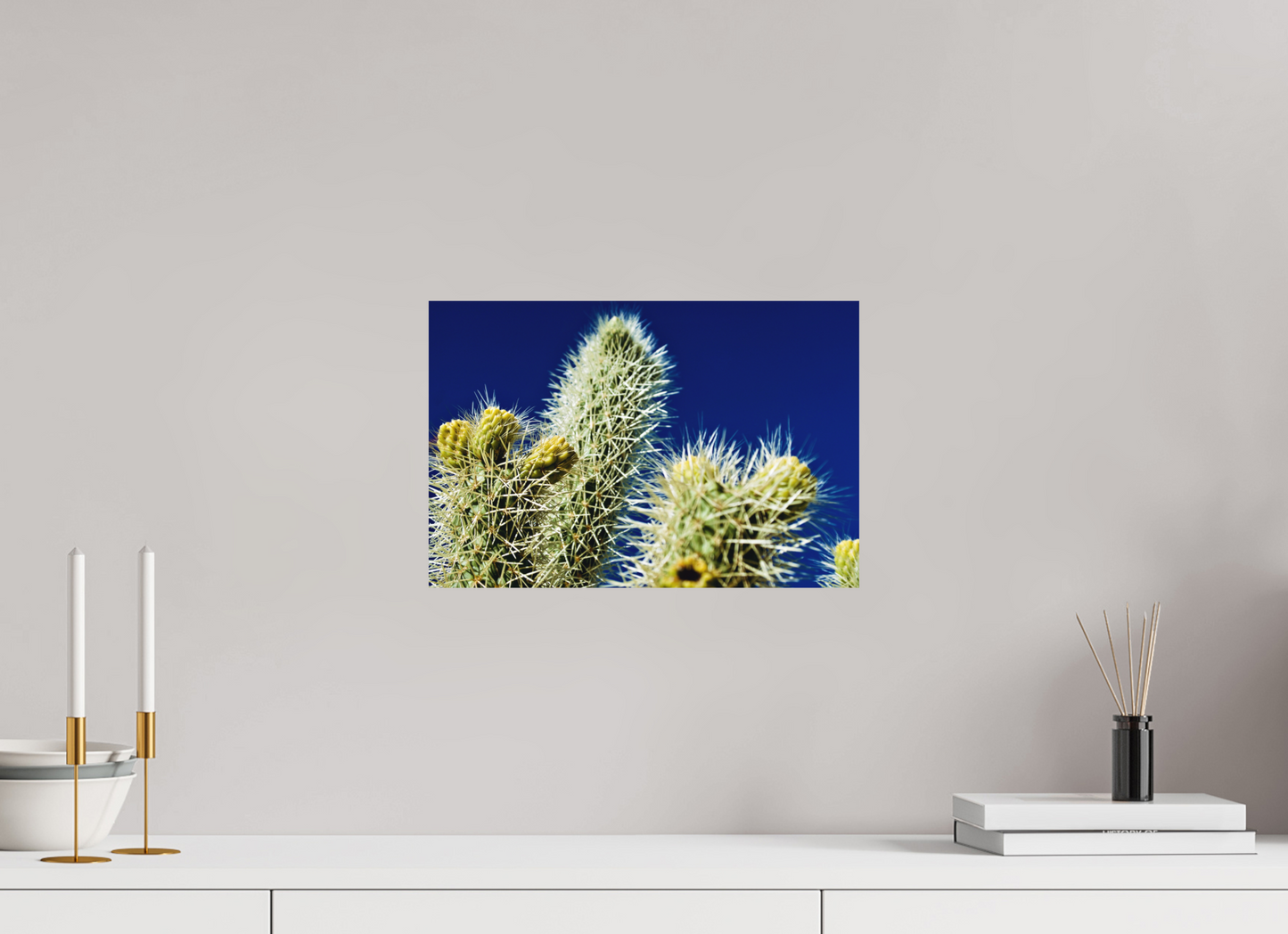 Silver Cholla Blue Sky