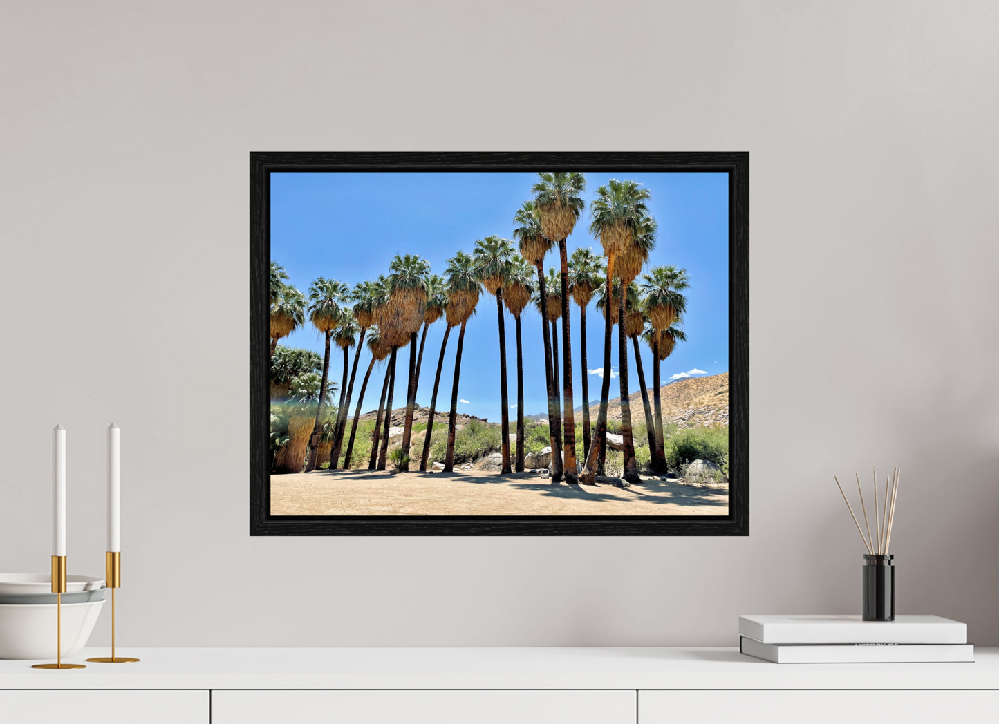 Palms of Santa Rosa