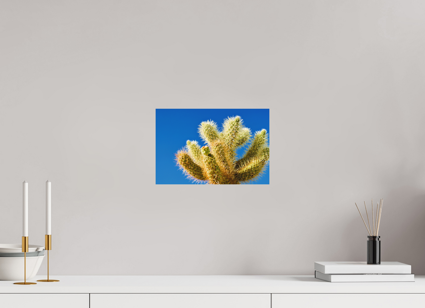 Cactus and Sky