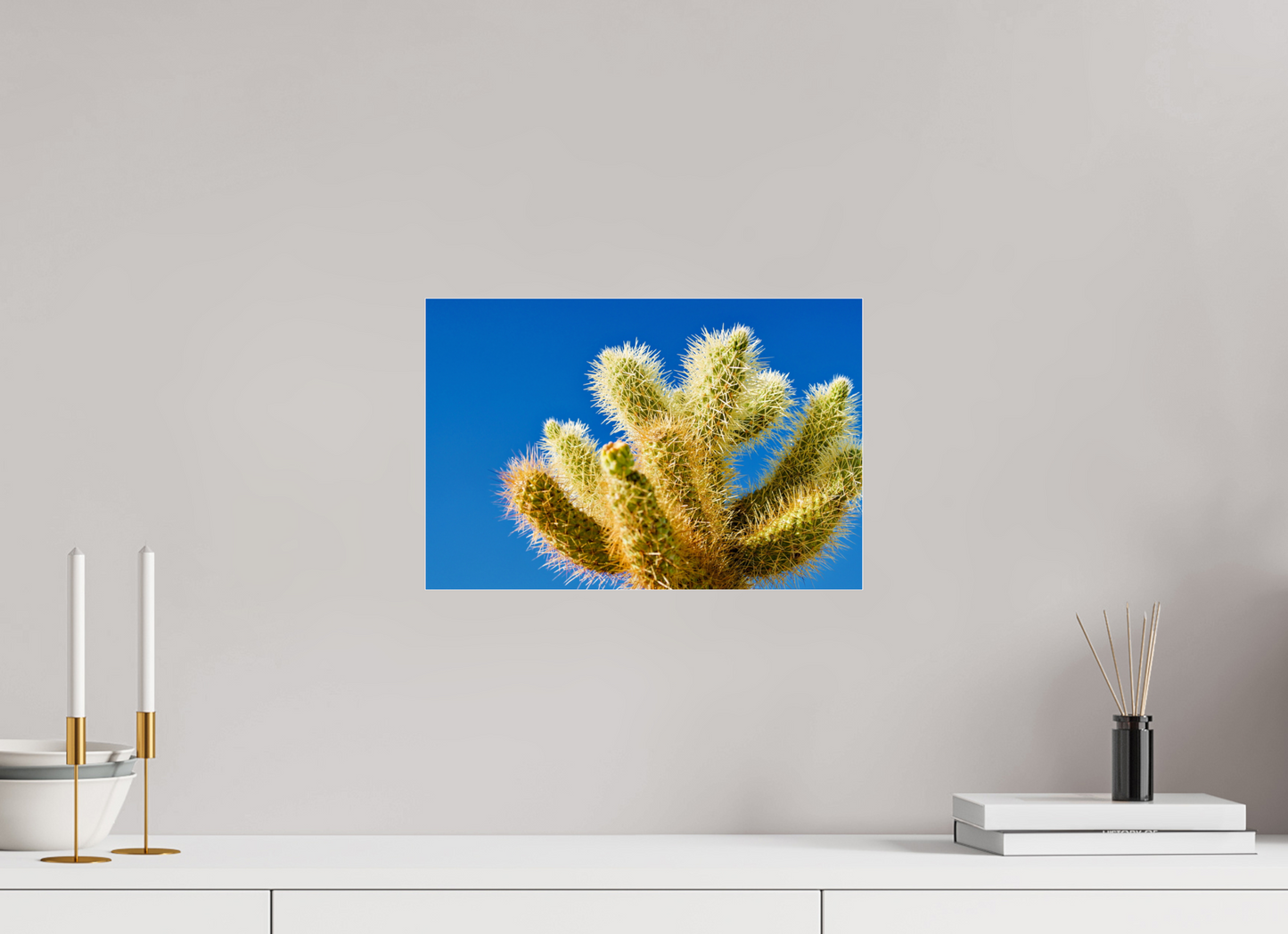 Cactus and Sky