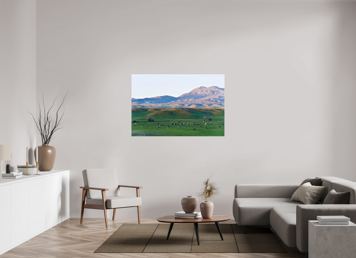 Borrego Springs Cow Grazing Pastures